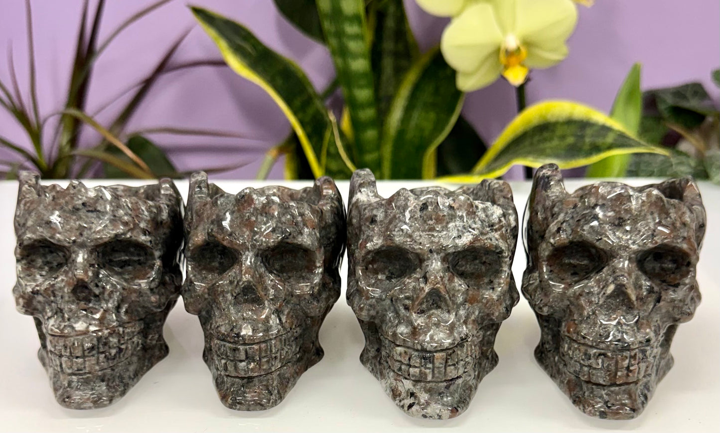 Wholesale lot 4 Pcs Yooperlite aka Emberlite Skull Bowl Natural Crystal healing energy