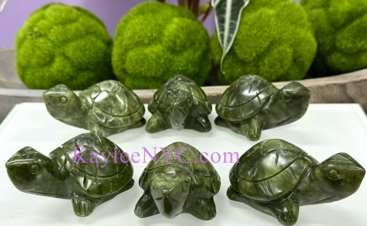 6 PCs Natural Nephrite Jade Turtle healing energy