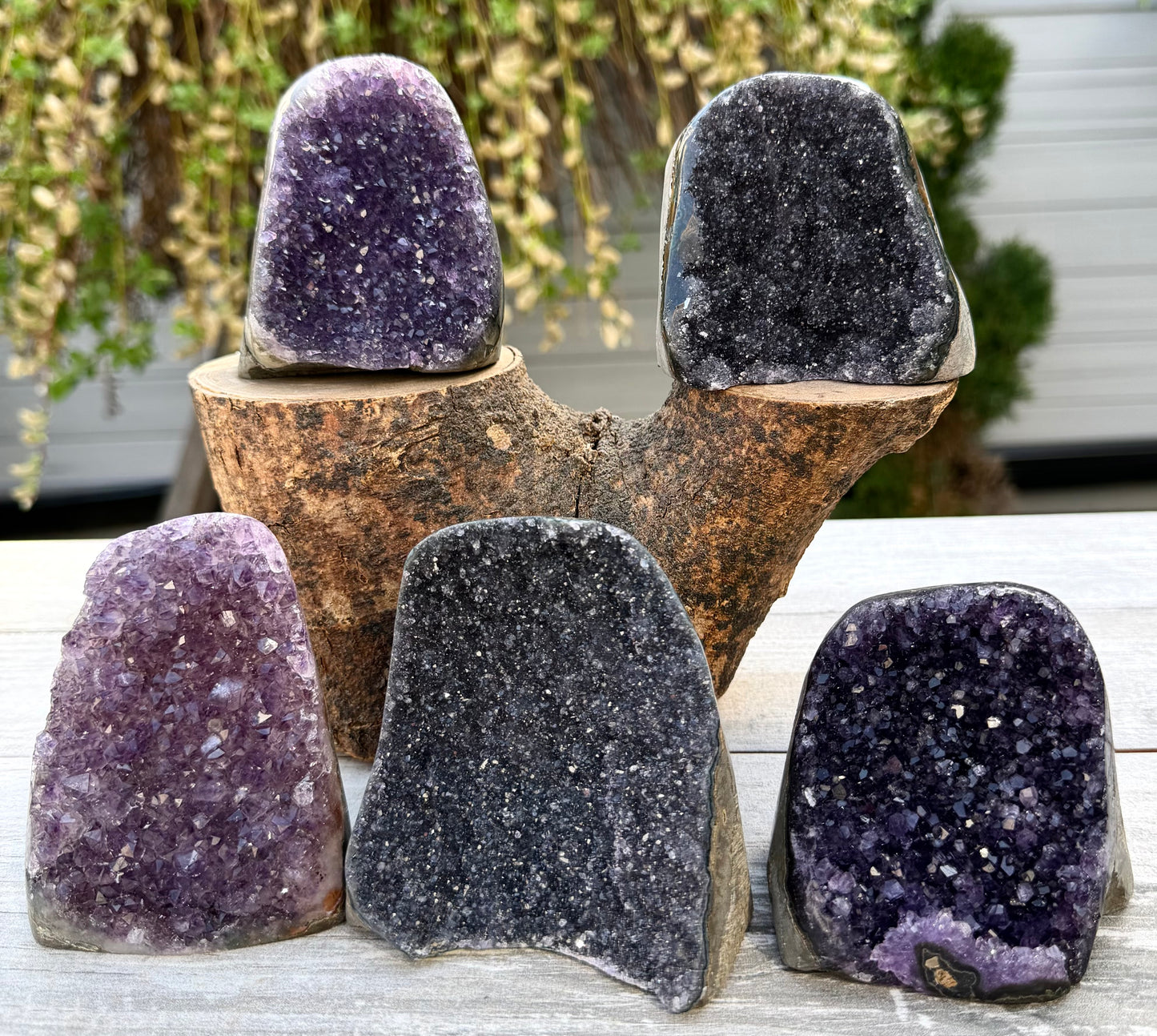 Wholesale Lot 4-5 pcs NaturalAmethyst cut base 4.8-5lbs Healing Energy