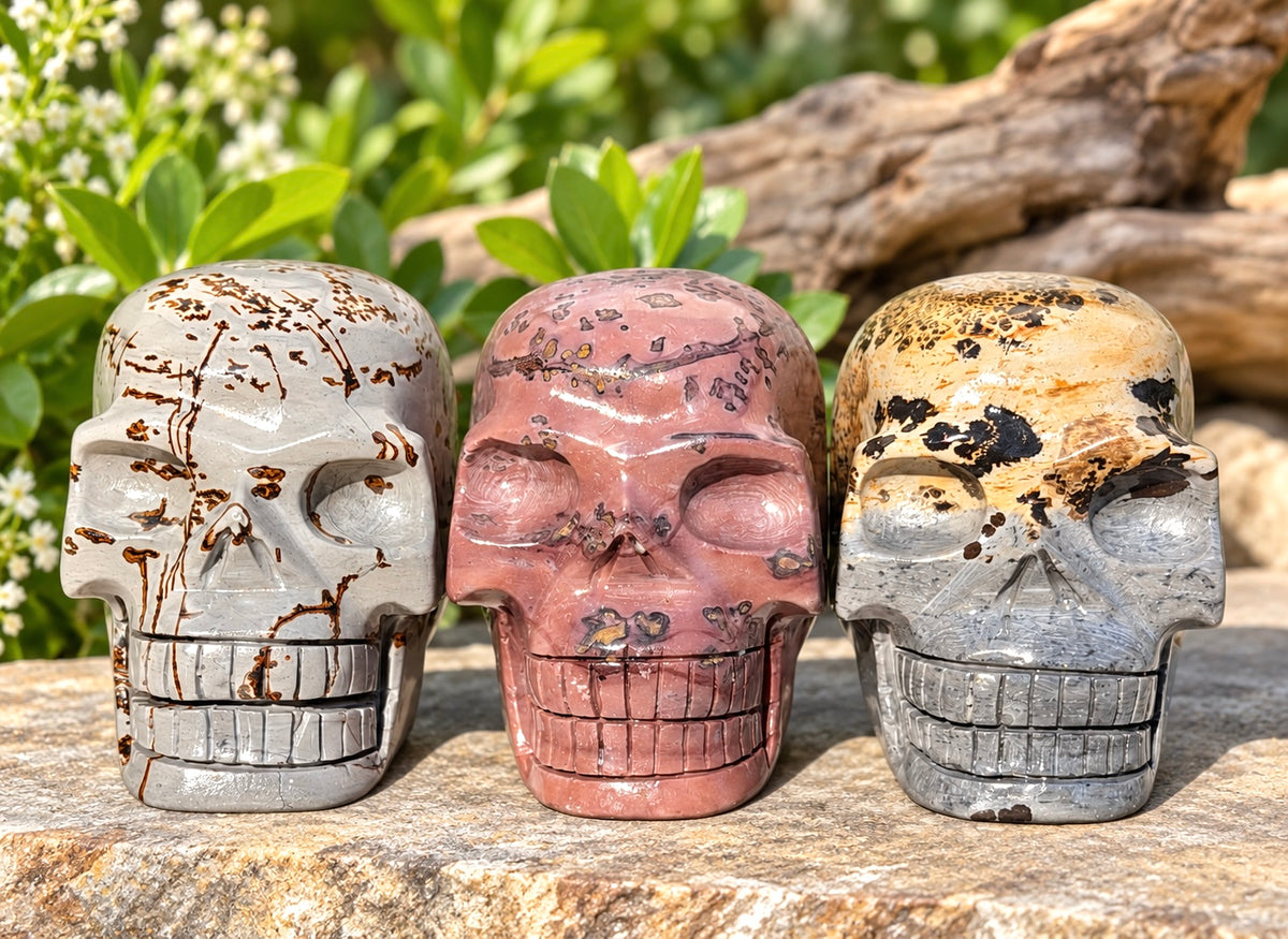 Wholesale lot 3 Pcs Natural Picture Jasper Crystal Skulls Healing Energy