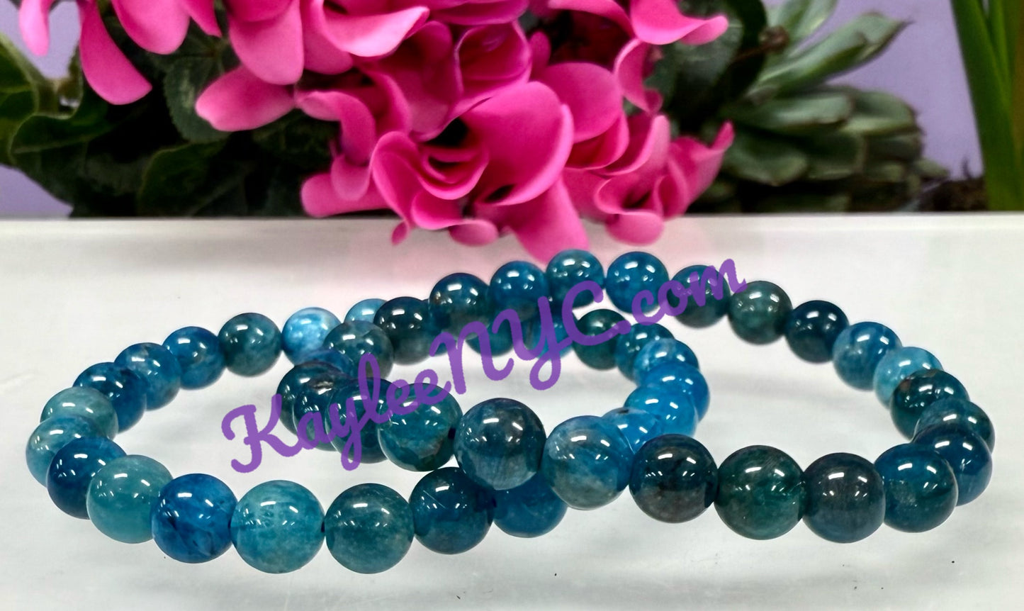 Wholesale 6 Pcs Natural Apatite 8mm 7.5” Crystal Healing Stretch Bracelet