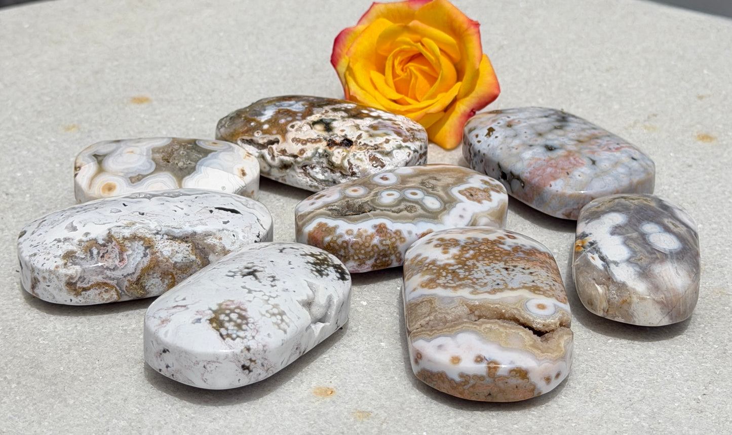 Wholesale 1 lb Lot Natural Ocean Jasper Palm Stone Crystal Energy