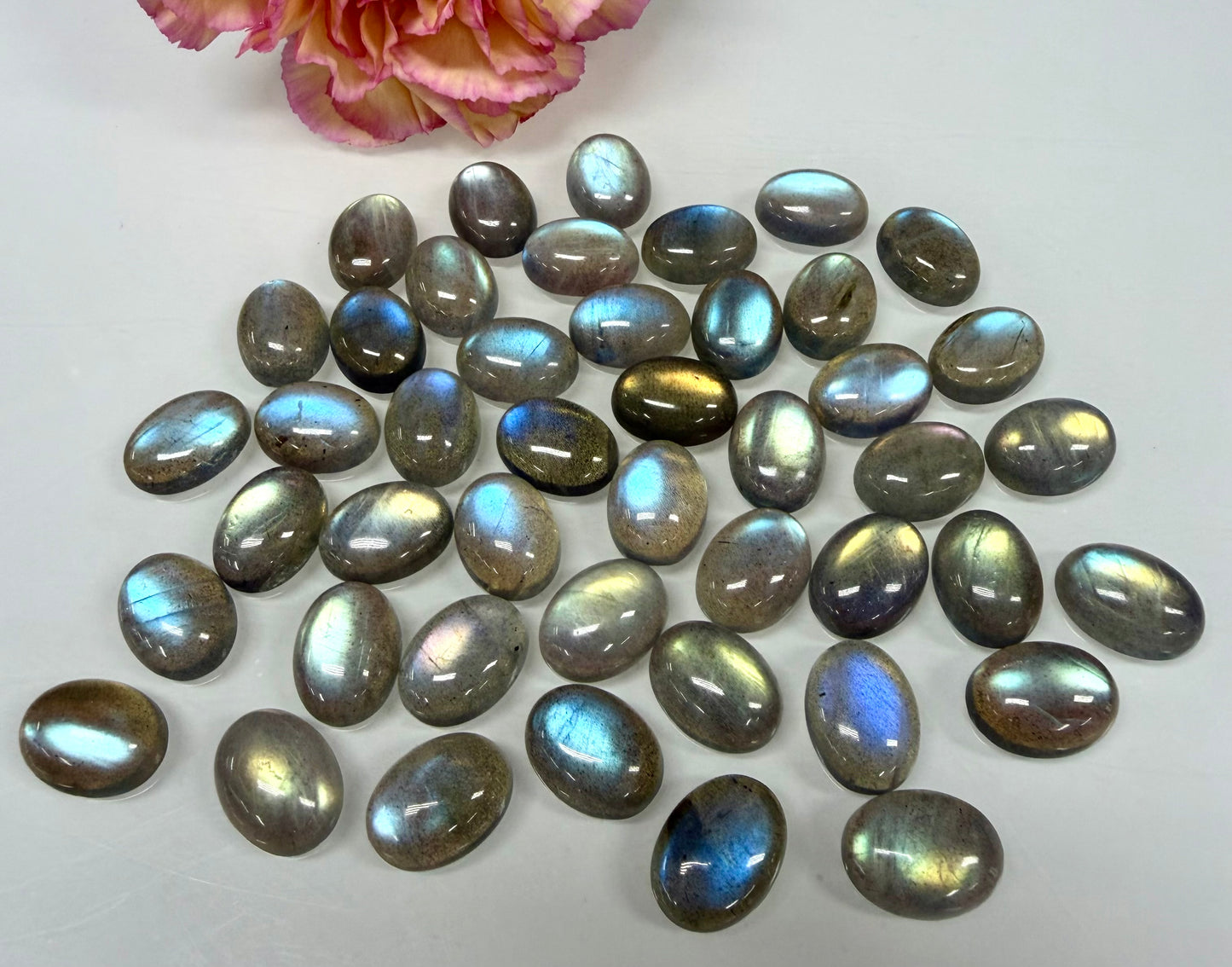 Wholesale Lot 6 pcs Natural Labradorite Cabochon Crystal Healing Energy ~12x16mm