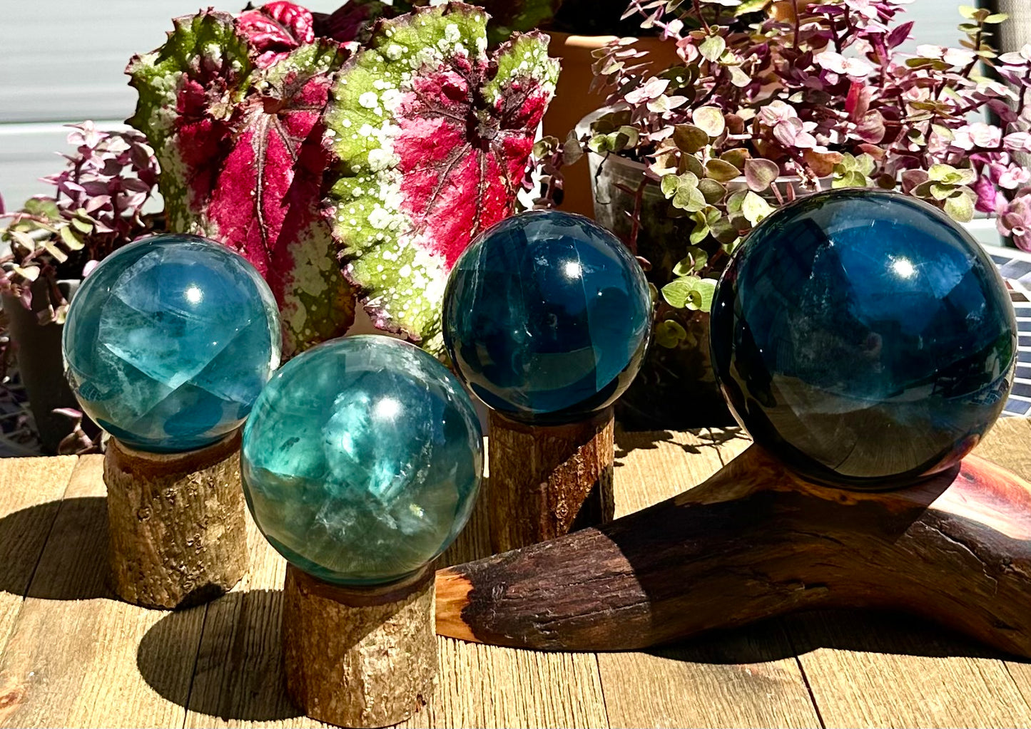 Wholesale Lot 4 to 5 Pcs Natural Blue Fluorite Sphere Crystal Ball 4.8 to 5 lbs  Healing Energy