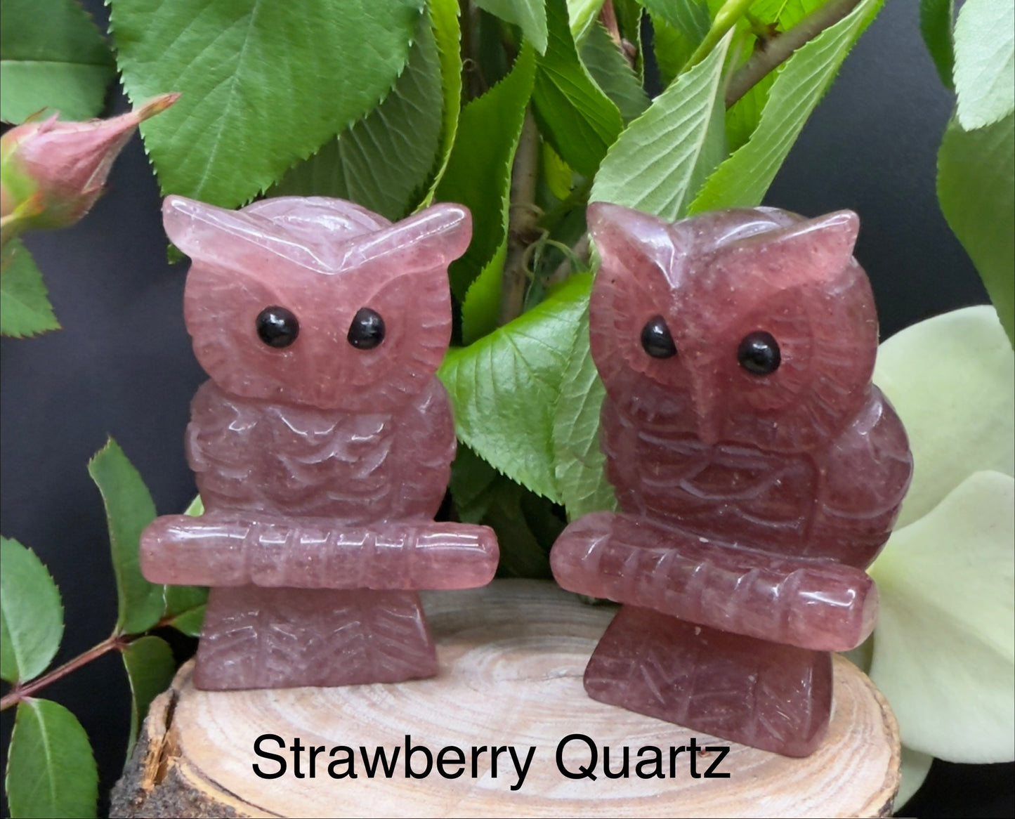 8 PCs Mixed Natural Crystal Owls Healing Energy