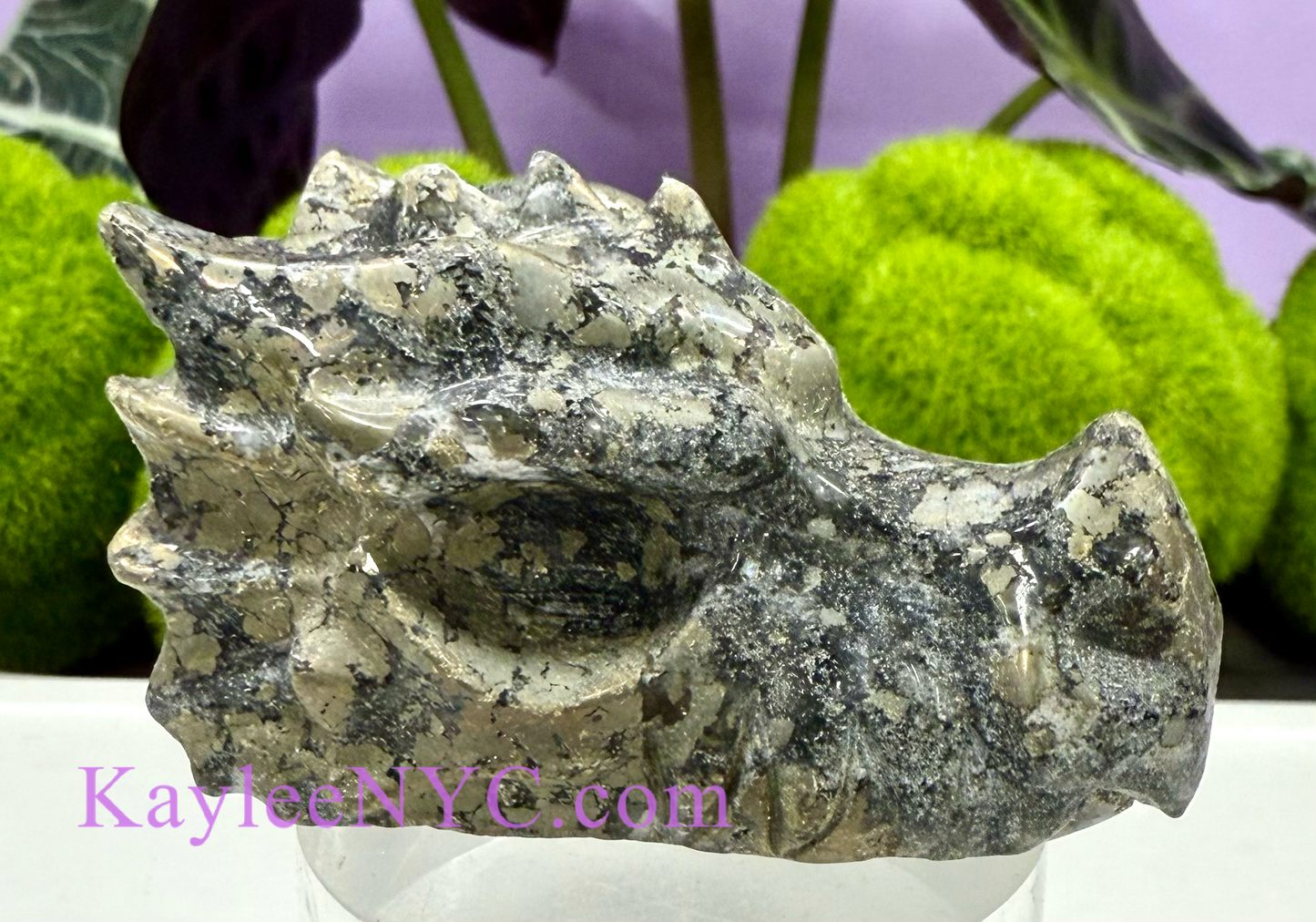 5 PCs Natural Black Pyrite Dragon Head Crystals Healing Energy