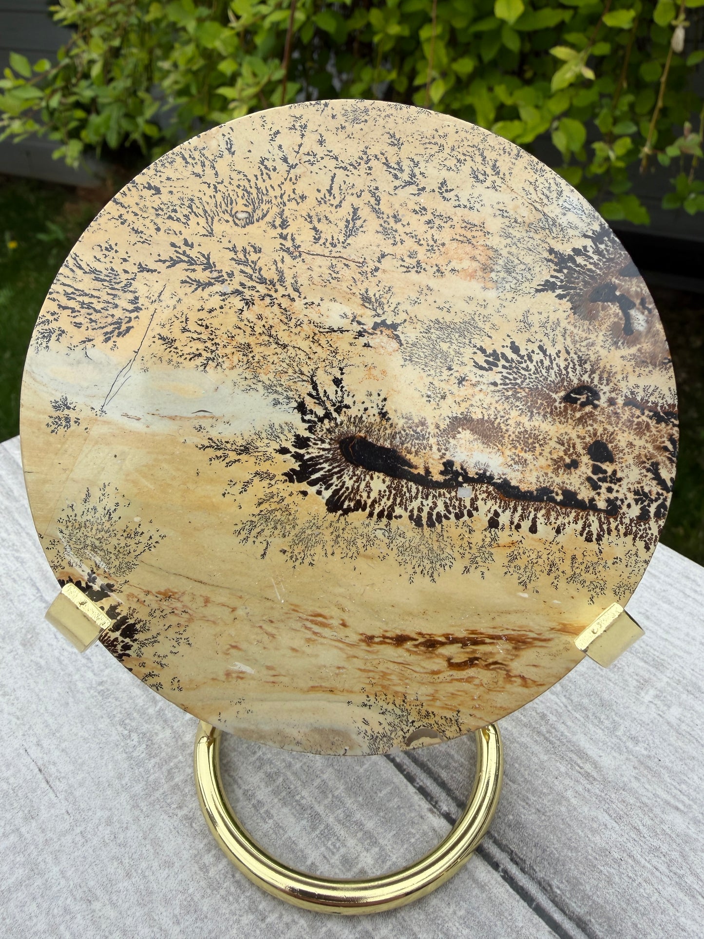 Wholesale Lot 4 pcs Natural Picture Jasper Slab with stand Crystal Healing Energy