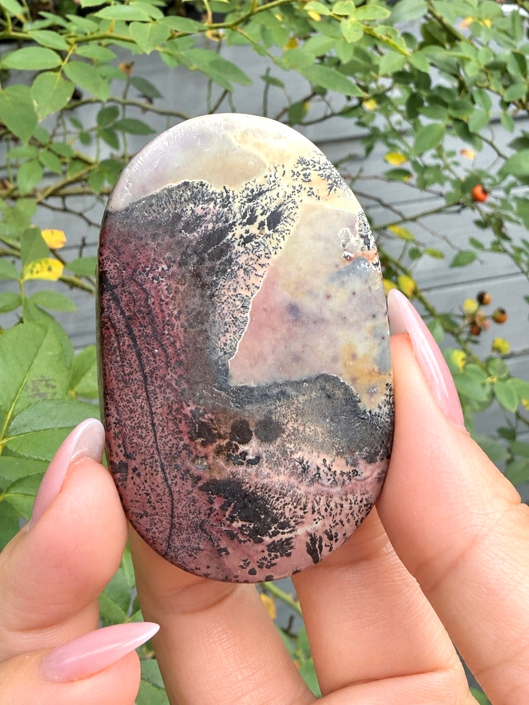 Wholesale 2 Lb Lot Natural Picture Jasper Palm Stones Crystal Natural Energy