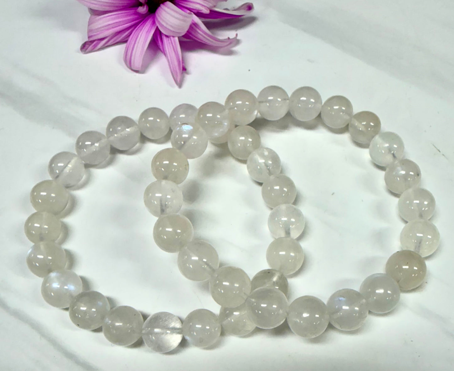 Wholesale Lot 6 Pcs Natural Moonstone 10mm 8” Natural Stretch Bracelet