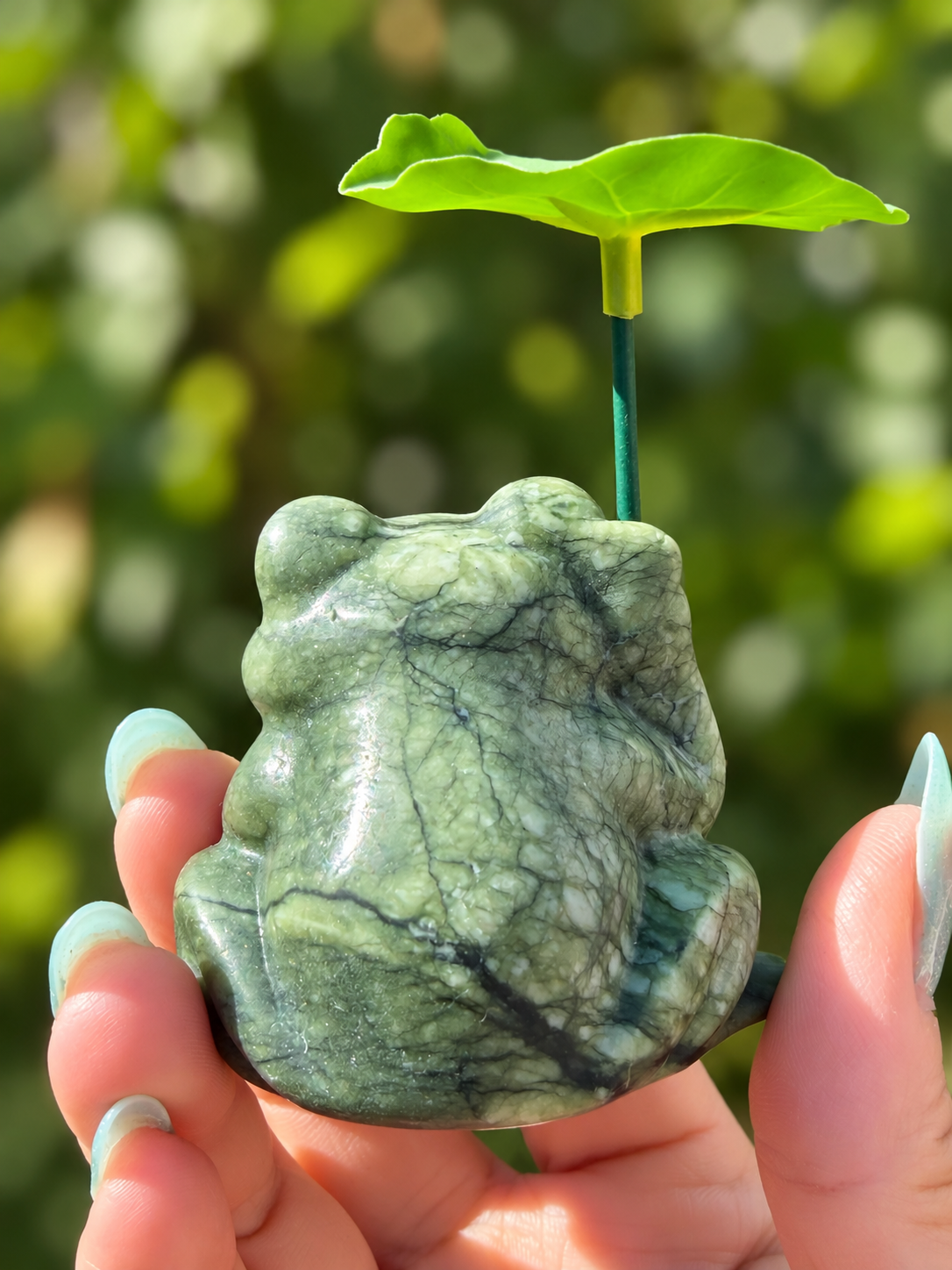 6 PCs Natural Nephrite Jade Frogs with Leaf healing energy