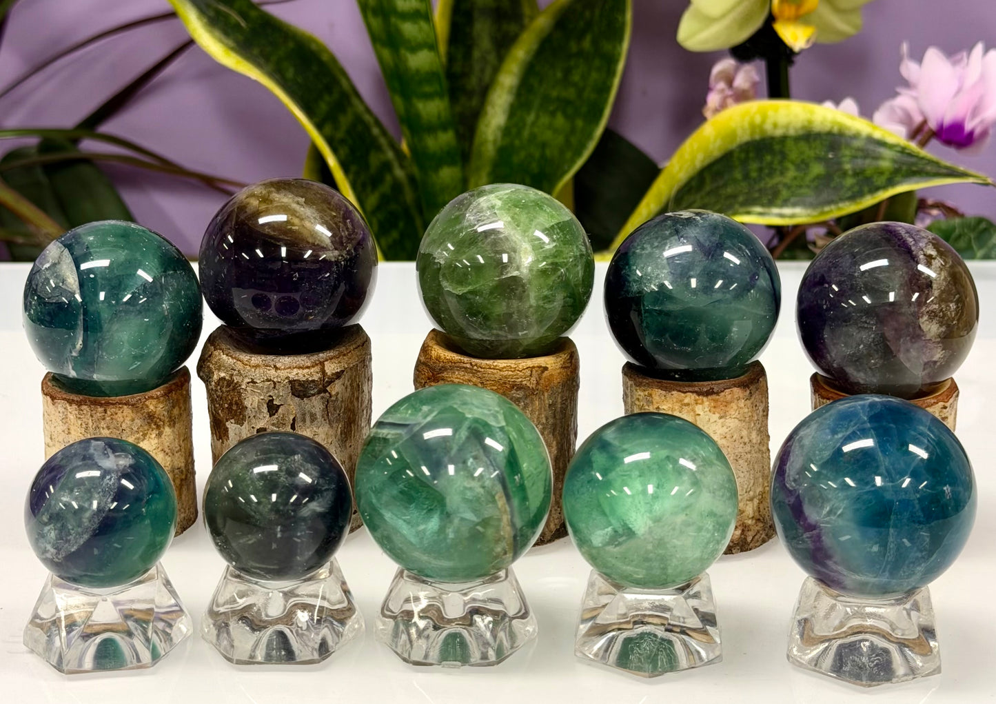 Wholesale Lot 10 Pcs Natural Fluorite Sphere Crystal Ball 1.9-2lbs Healing energy