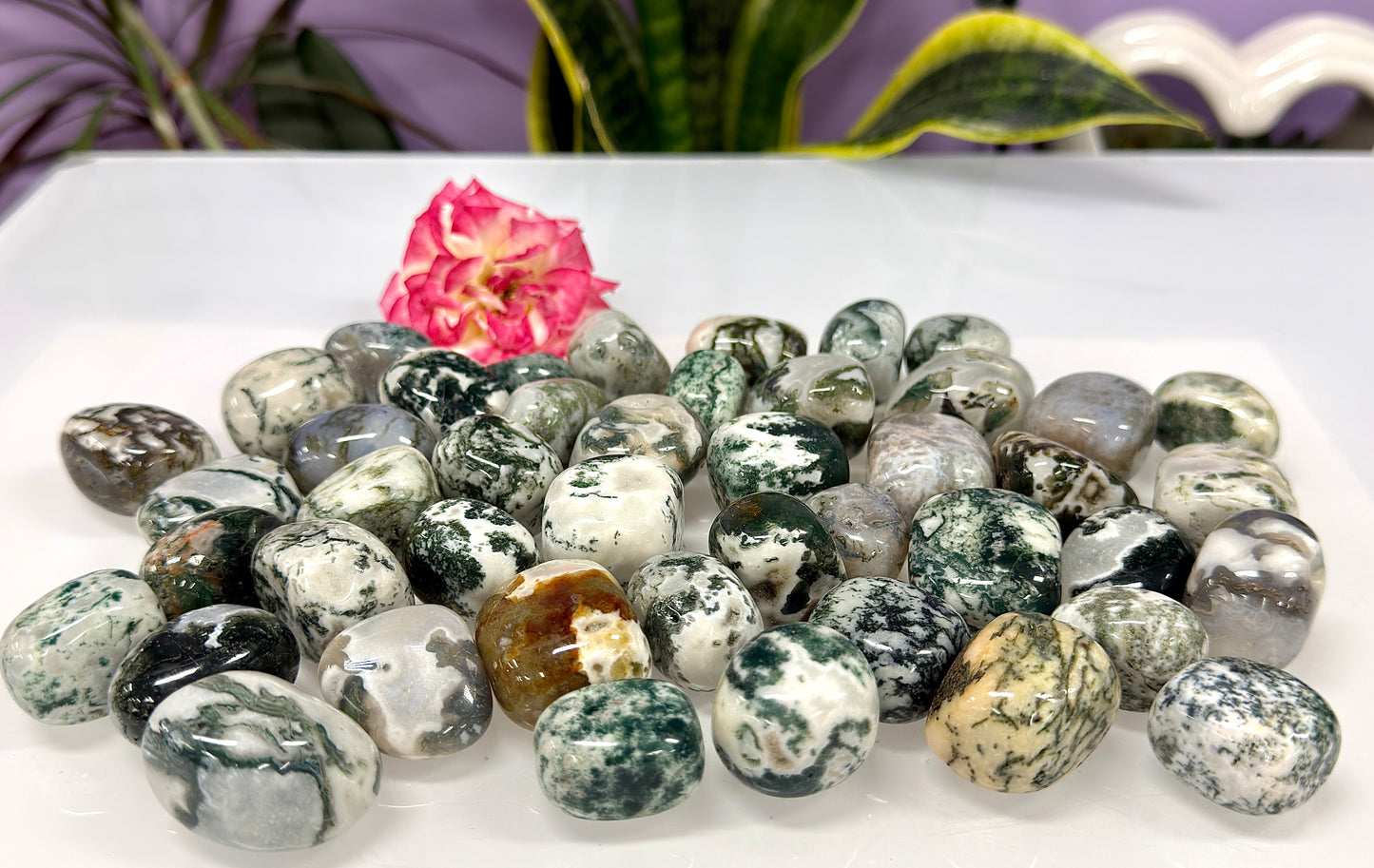 Wholesale Lot 2 lbs Natural Moss Agate Tumble Crystal Healing Energy