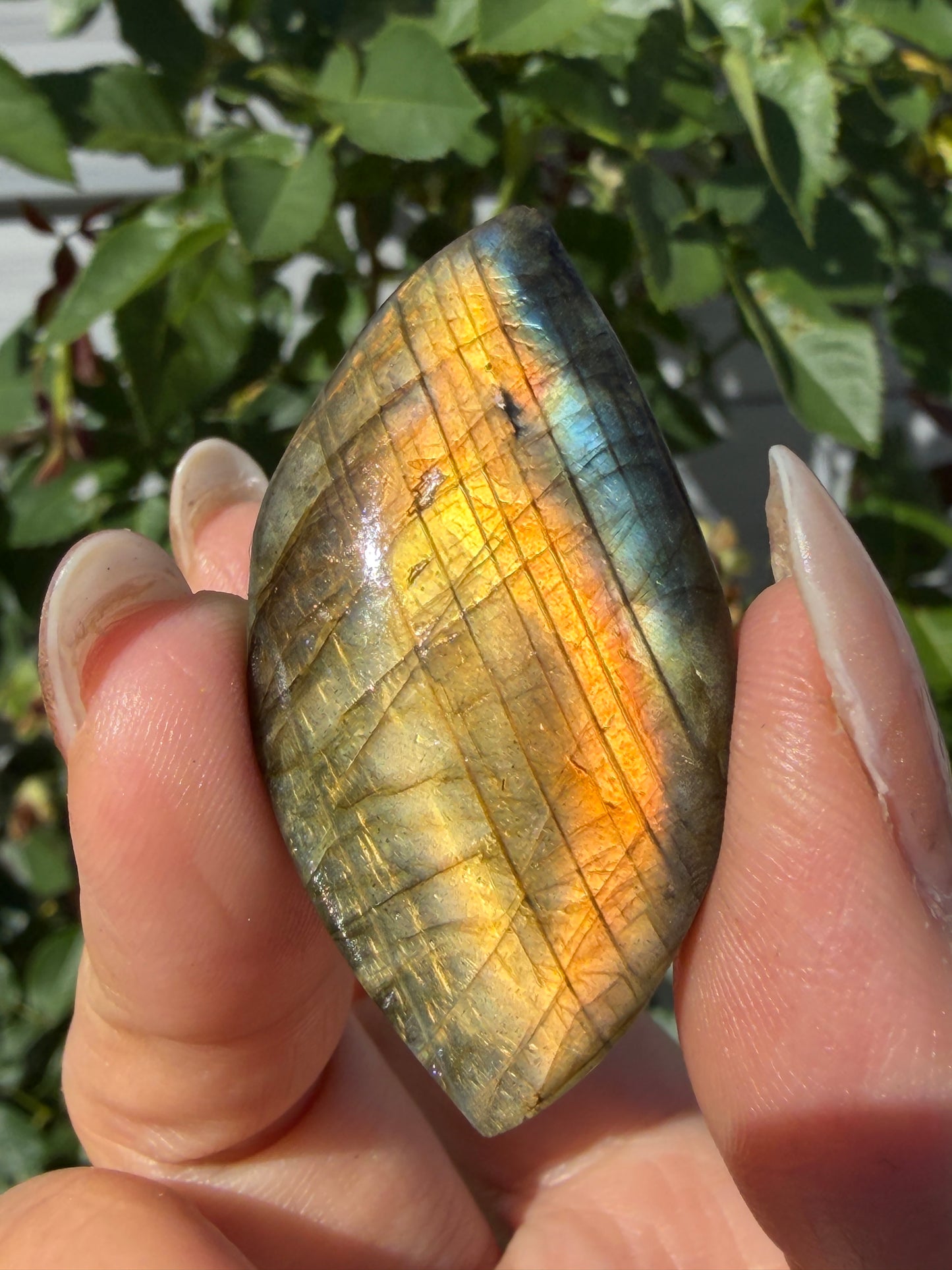 Wholesale Lot 12 pcs Natural Sunset Labradorite Cabochon Crystal Healing Energy