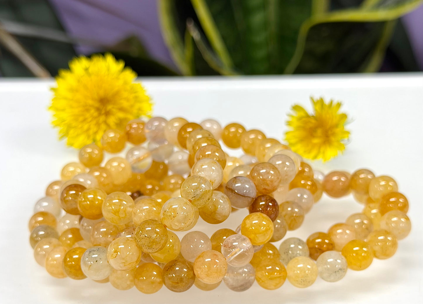 Wholesale Lot 6 Pcs Natural Golden Healer 8mm 7.5” Crystal Healing Stretch Bracelet