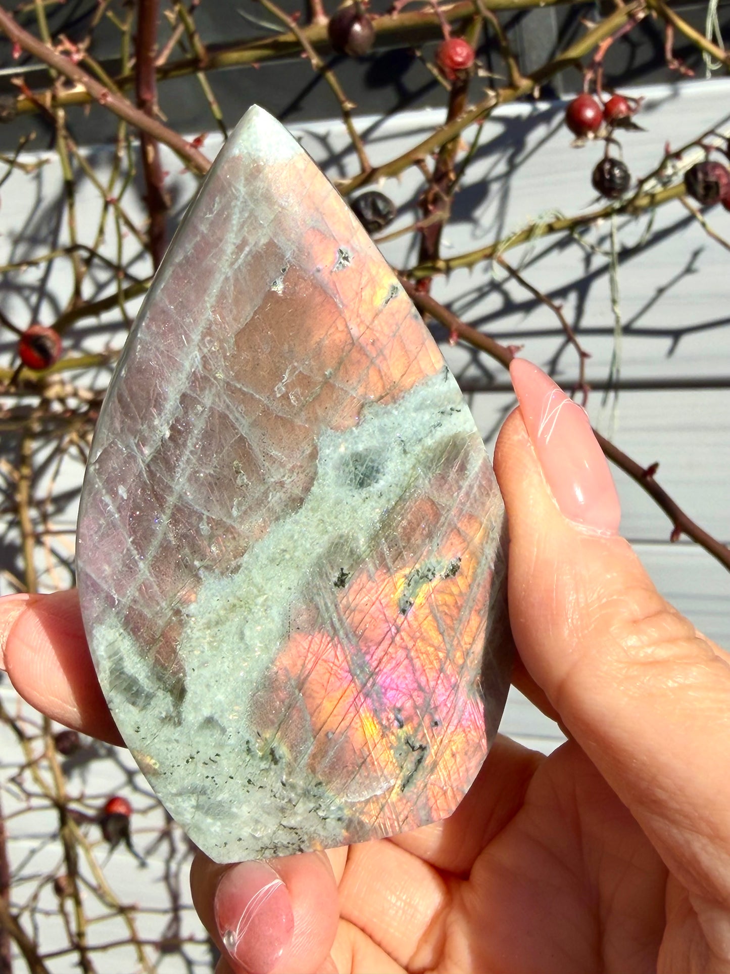 2 lbs Natural Sunset Labradorite Freeform Crystal Wholesale