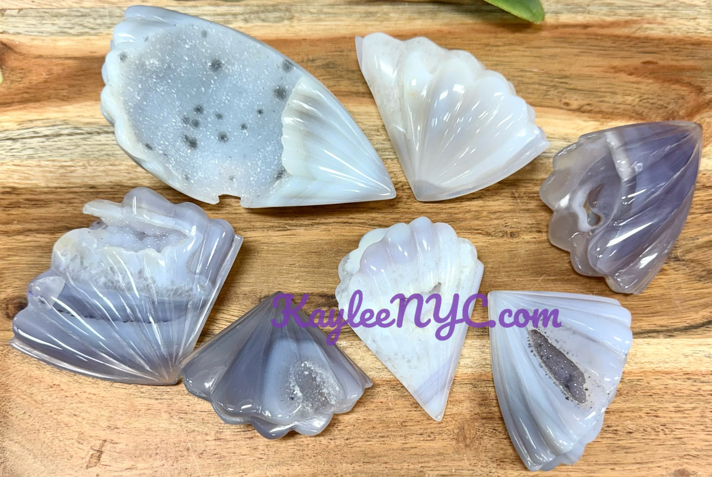 6-9 PCs Natural Druzy Agate Shell Crystals Healing Energy