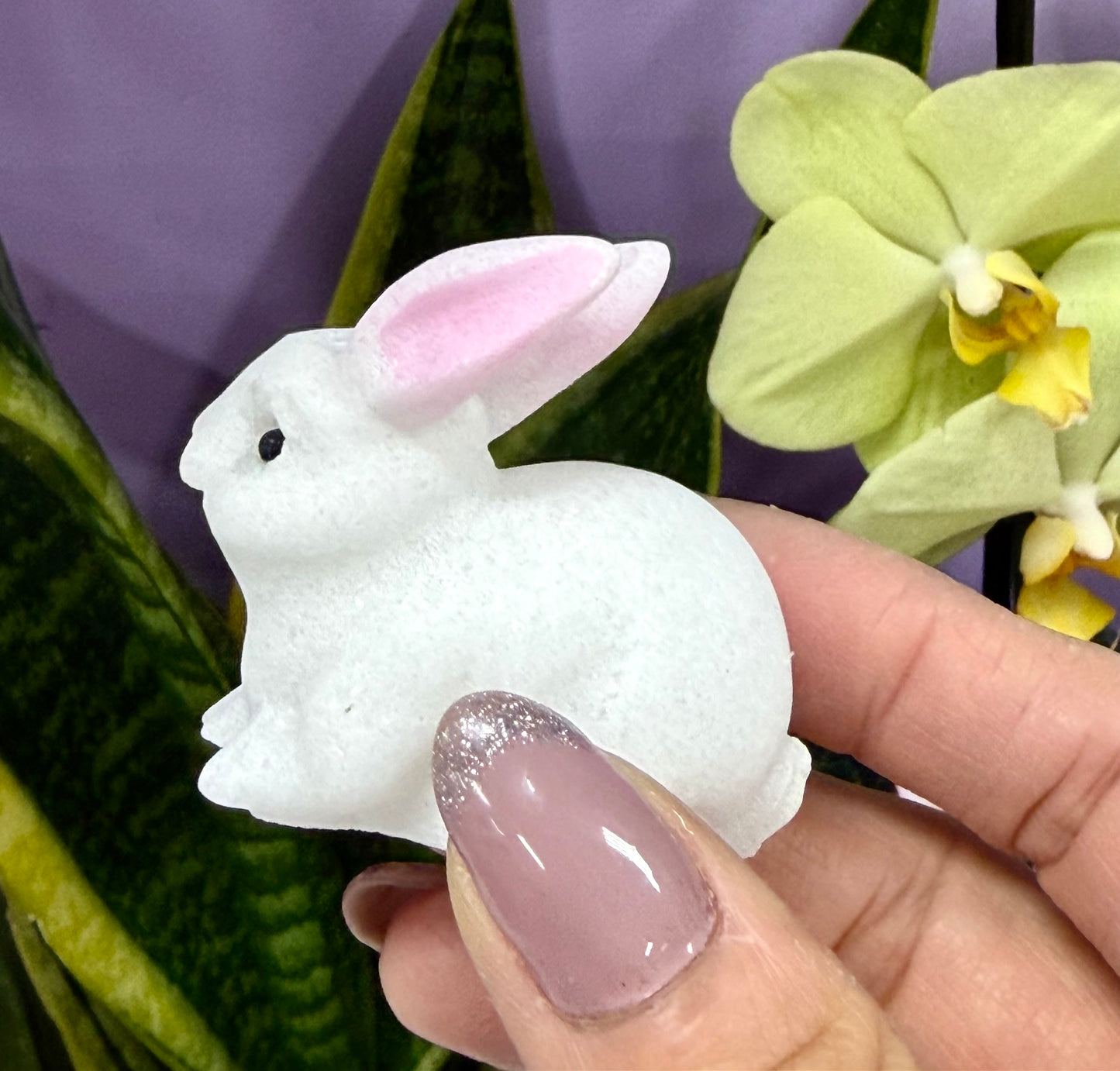 8 PCs Natural Snow Quartz Rabbit Bunny Crystals Healing Energy 5cm