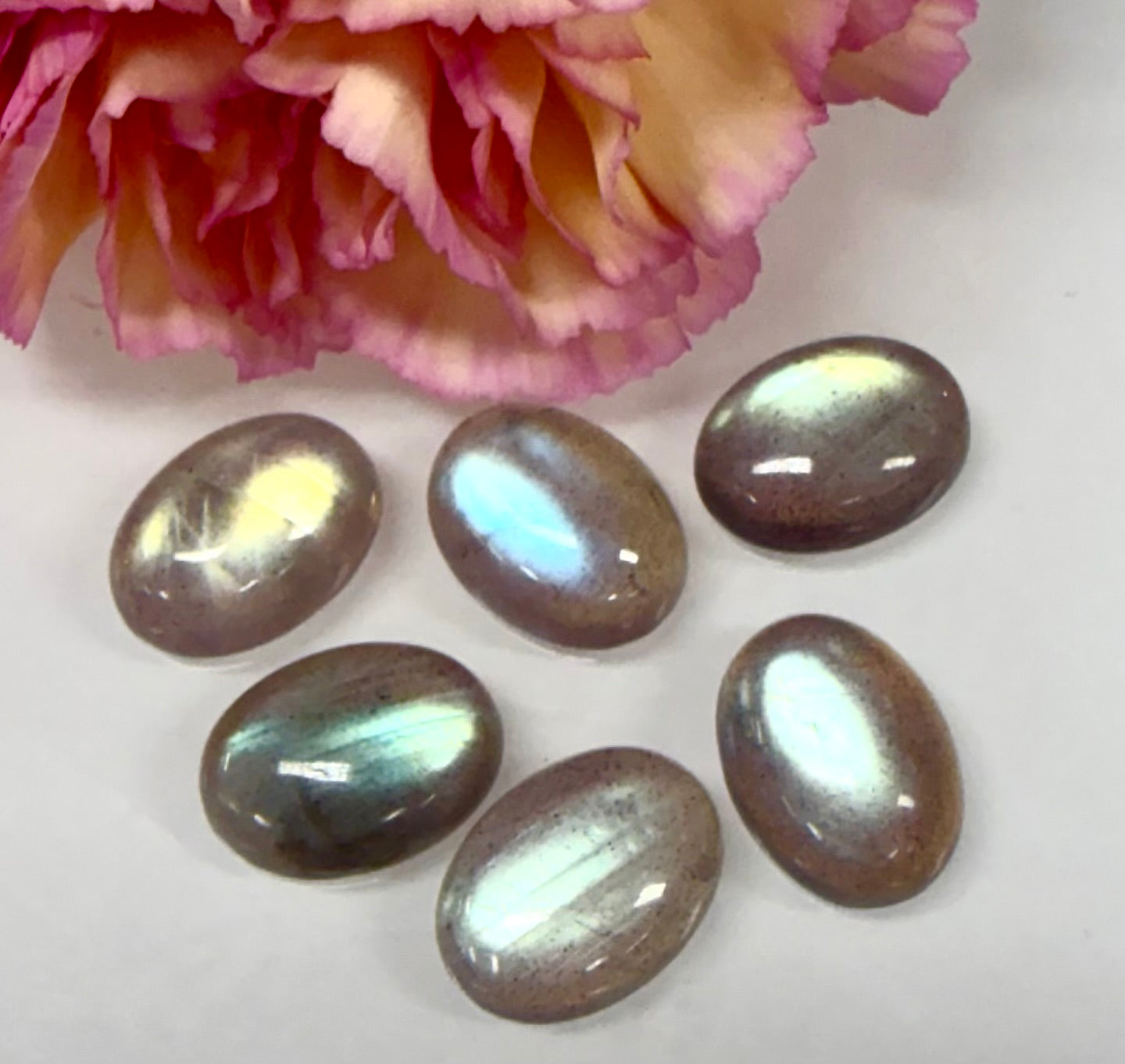 Wholesale Lot 6 pcs Natural Labradorite Cabochon Crystal Healing Energy ~12x16mm