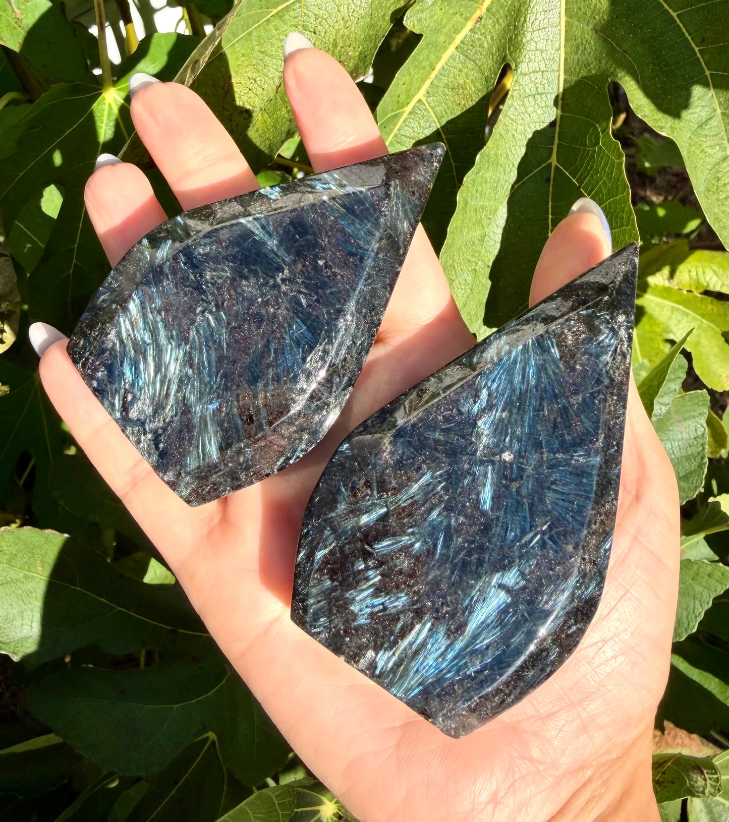 2 lbs Natural Astrophyllite aka Arfvedsonite Freeform Crystal bulk