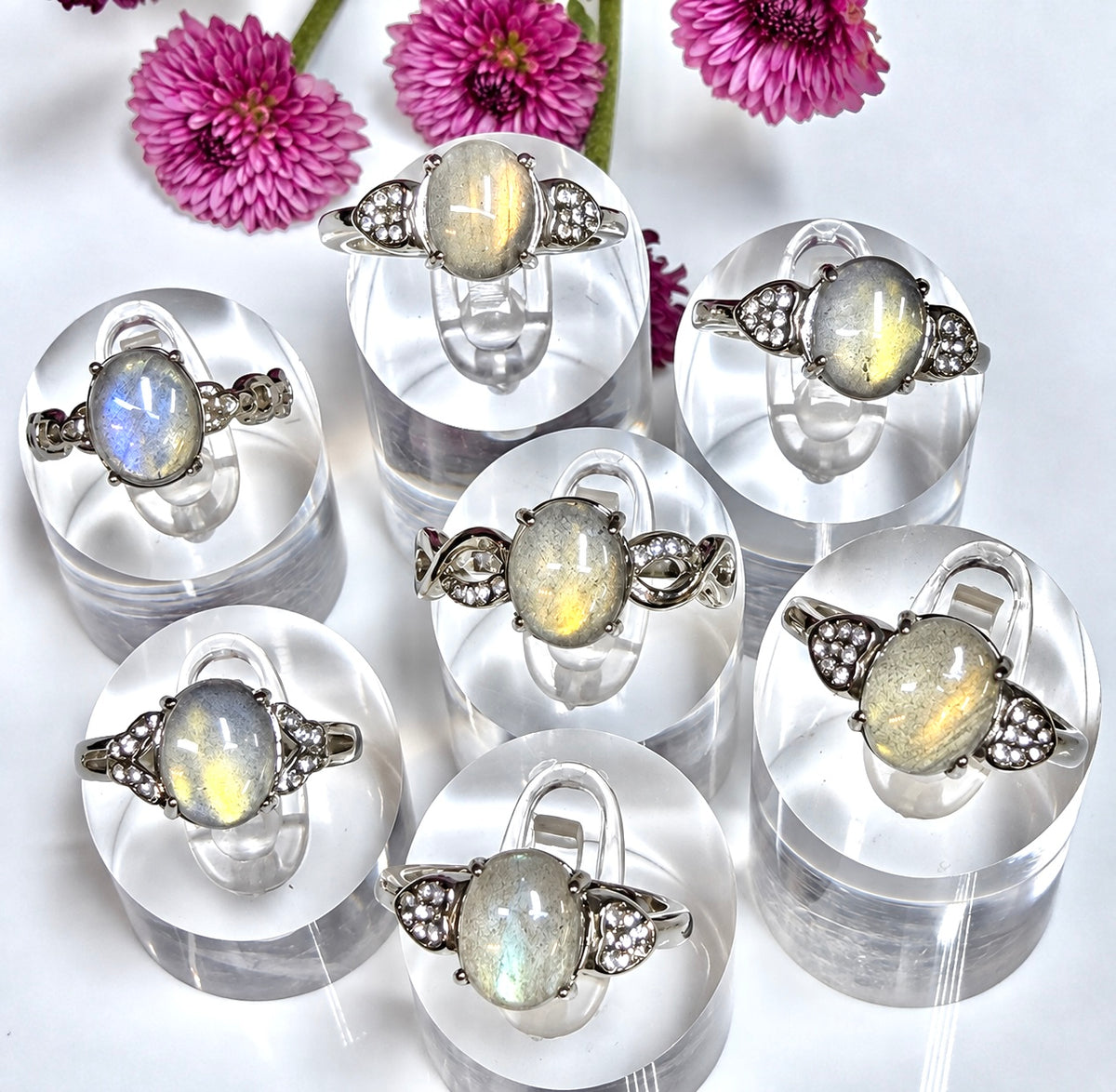 Wholesale Lot 7 pcs Natural Labradorite Stainless Steel Ring (316) 8x10mm