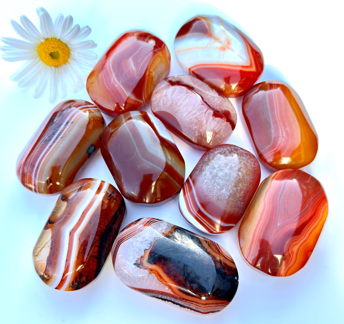 Wholesale Lot 2 Lbs Natural Sardonyx Palm Stone Crystal