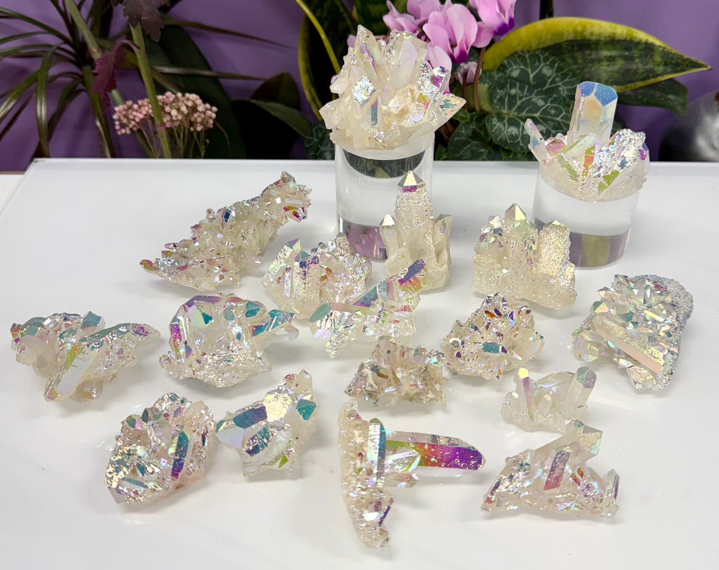Wholesale 2 lbs Angel Aura Quartz Cluster Natural Crystal