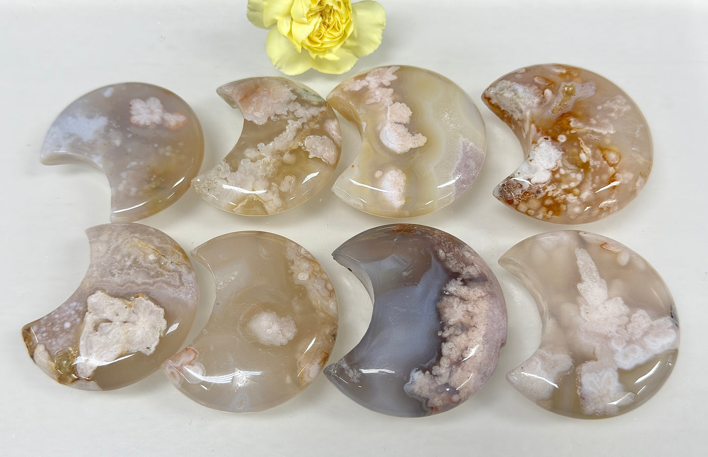 Wholesale Lot 1 lb Natural Flower Agate Crystal Moon Healing Energy