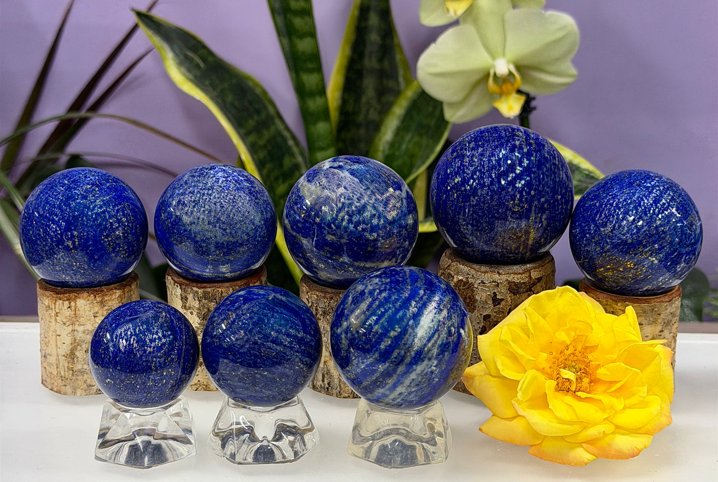 Wholesale Lot 8 Pcs Natural Lapis Lazuli Sphere Crystal Ball 1.9-2lbs Healing energy