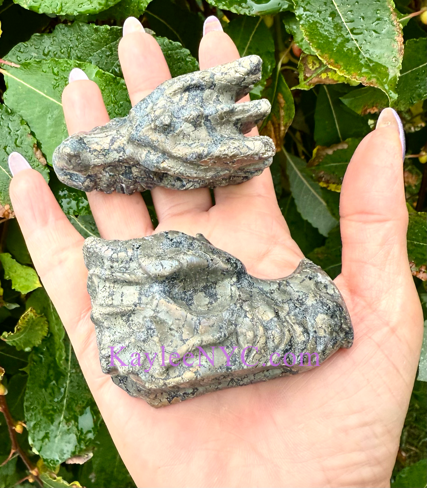 5 PCs Natural Black Pyrite Dragon Head Crystals Healing Energy