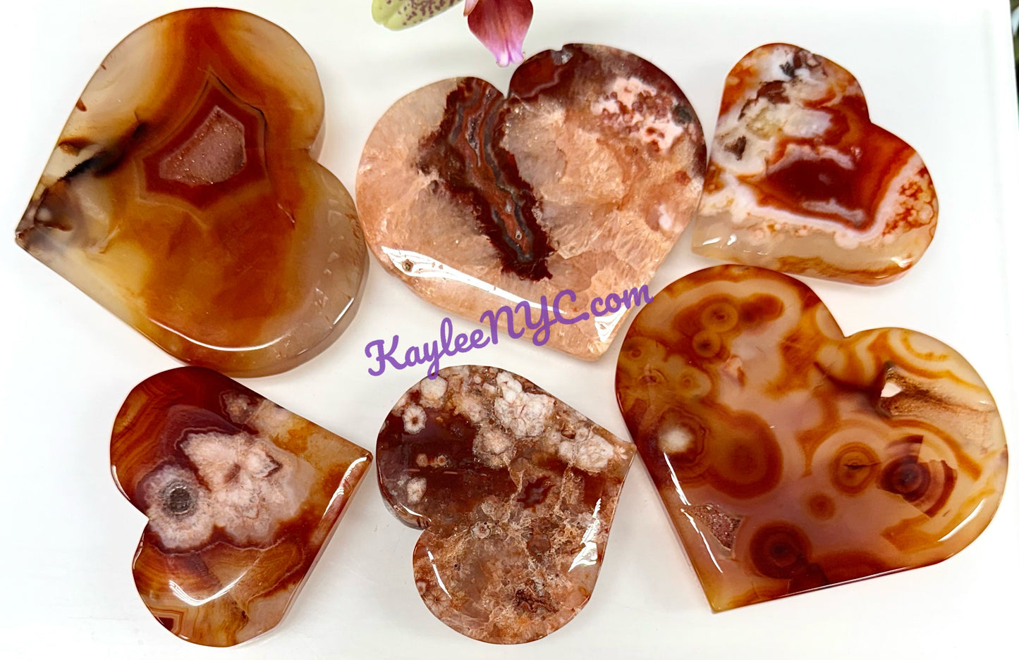 Wholesale Lot 2 lbs Natural Carnelian Flower Agate Heart Crystal Healing Energy