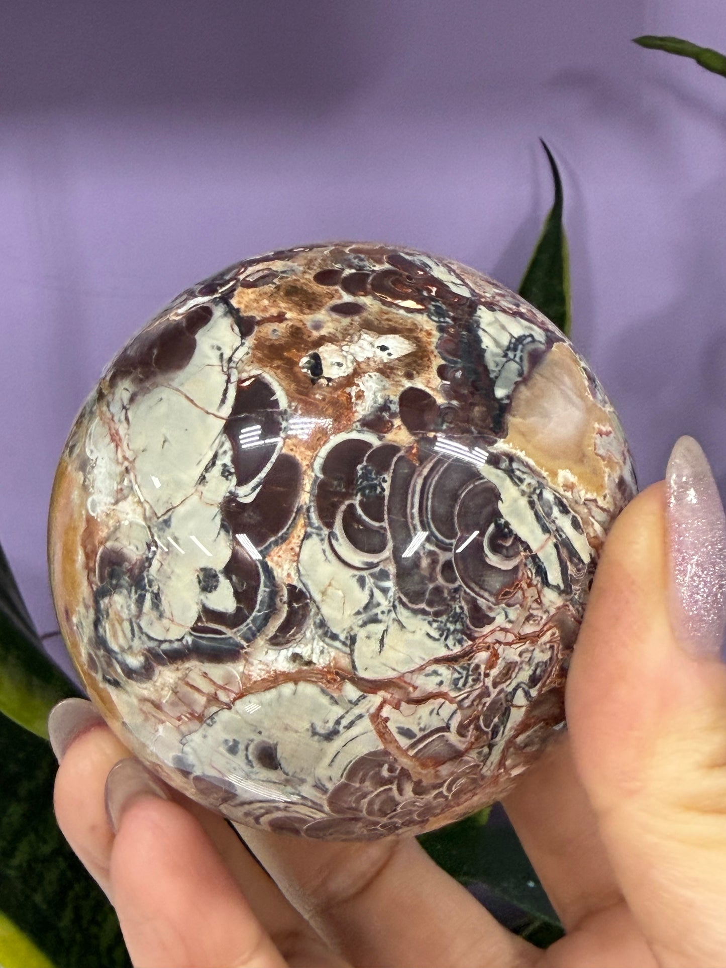 Wholesale Lot 3-4 Pcs Natural Money Agate Sphere Crystal Ball 2.8-3lbs Healing Energy