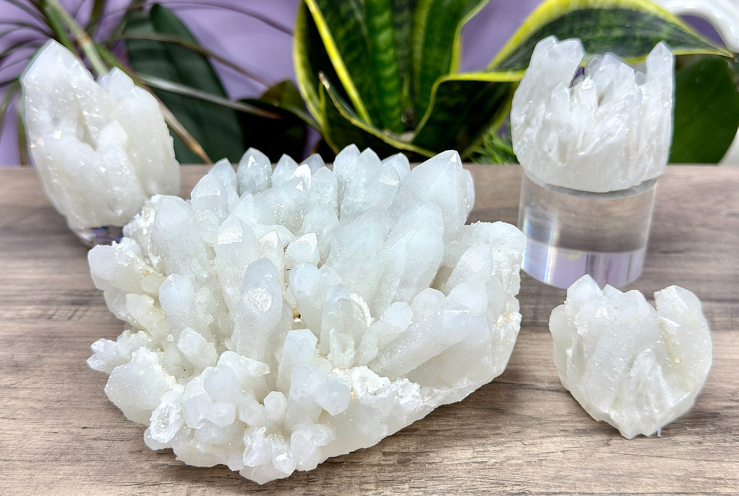 Wholesale Lot 4-6 pcs Natural Druzy Quartz Cluster Rough Crystal Healing Energy