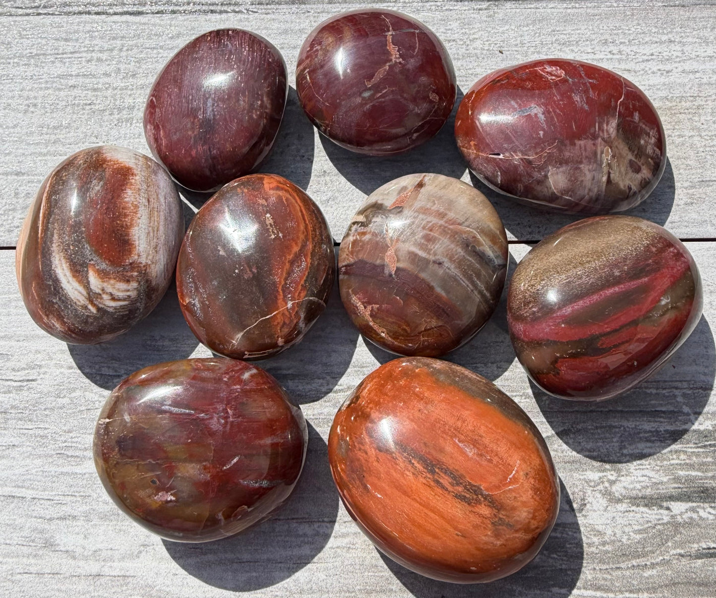 Wholesale 2 Lb Lot Natural Petrified Wood Palm Stones Crystal Natural Energy