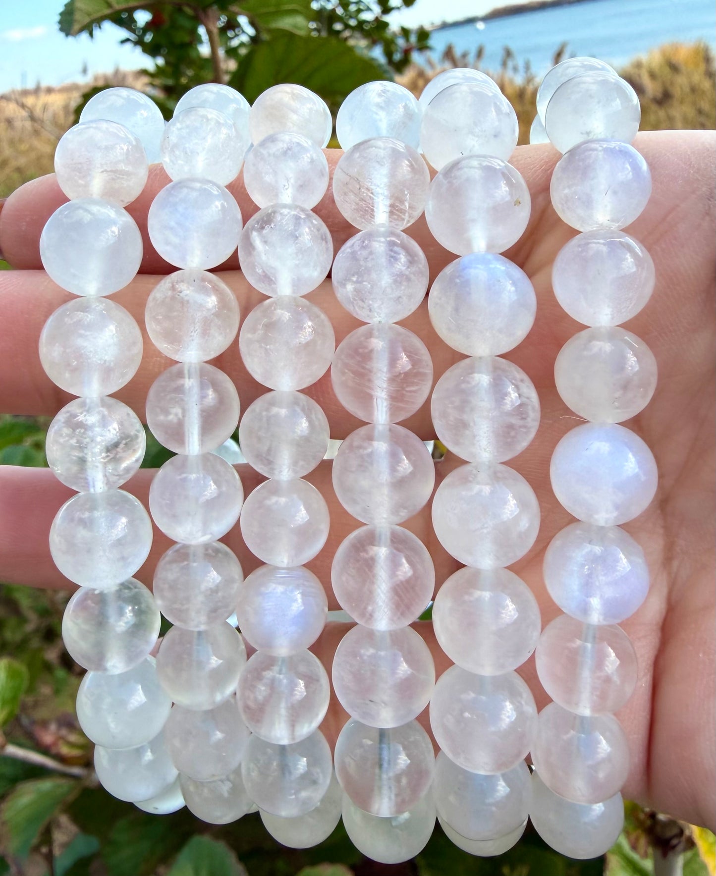 Wholesale Lot 6 Pcs Natural Moonstone 10mm 8” Natural Stretch Bracelet