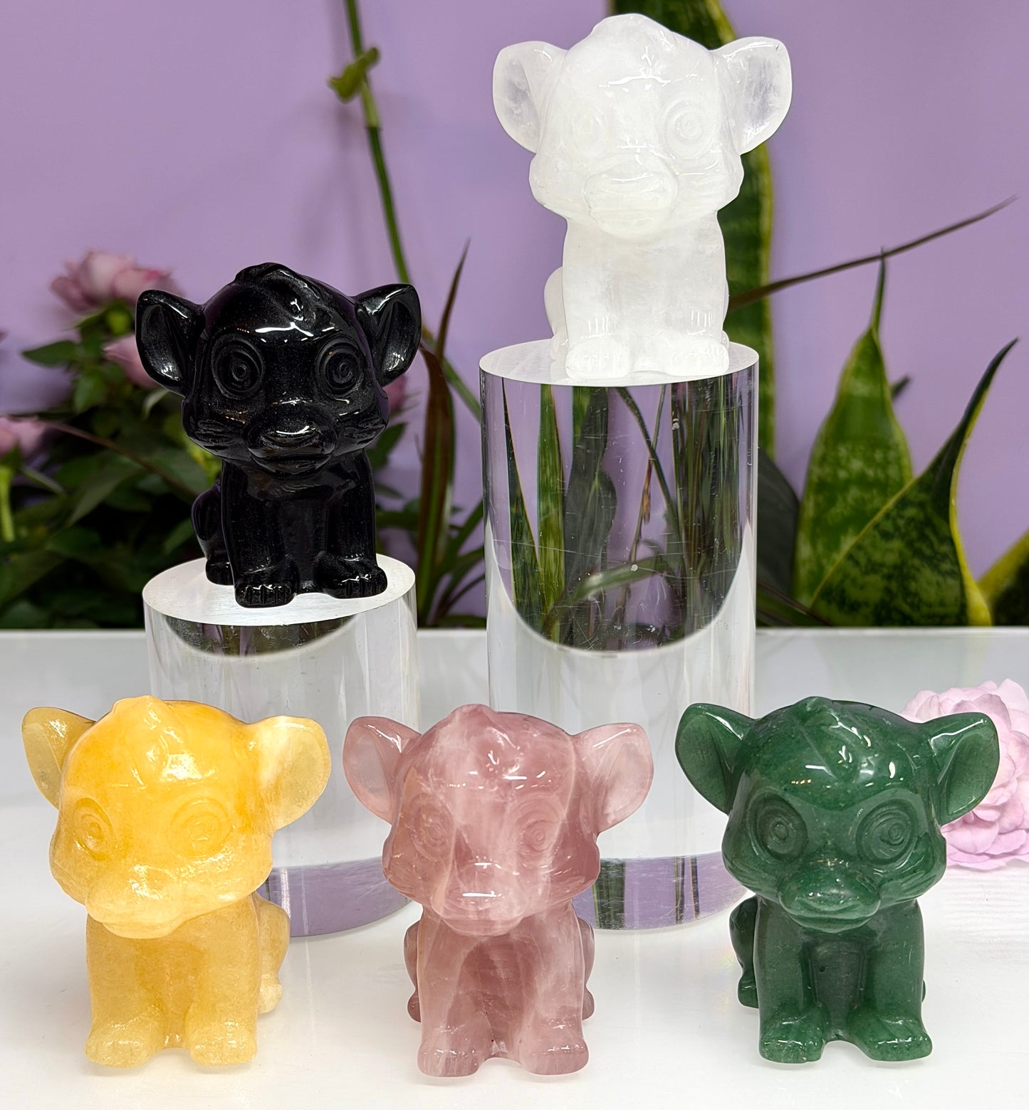 5PCs 6cm Mixed Natural Crystal Lion Cub King Healing Energy