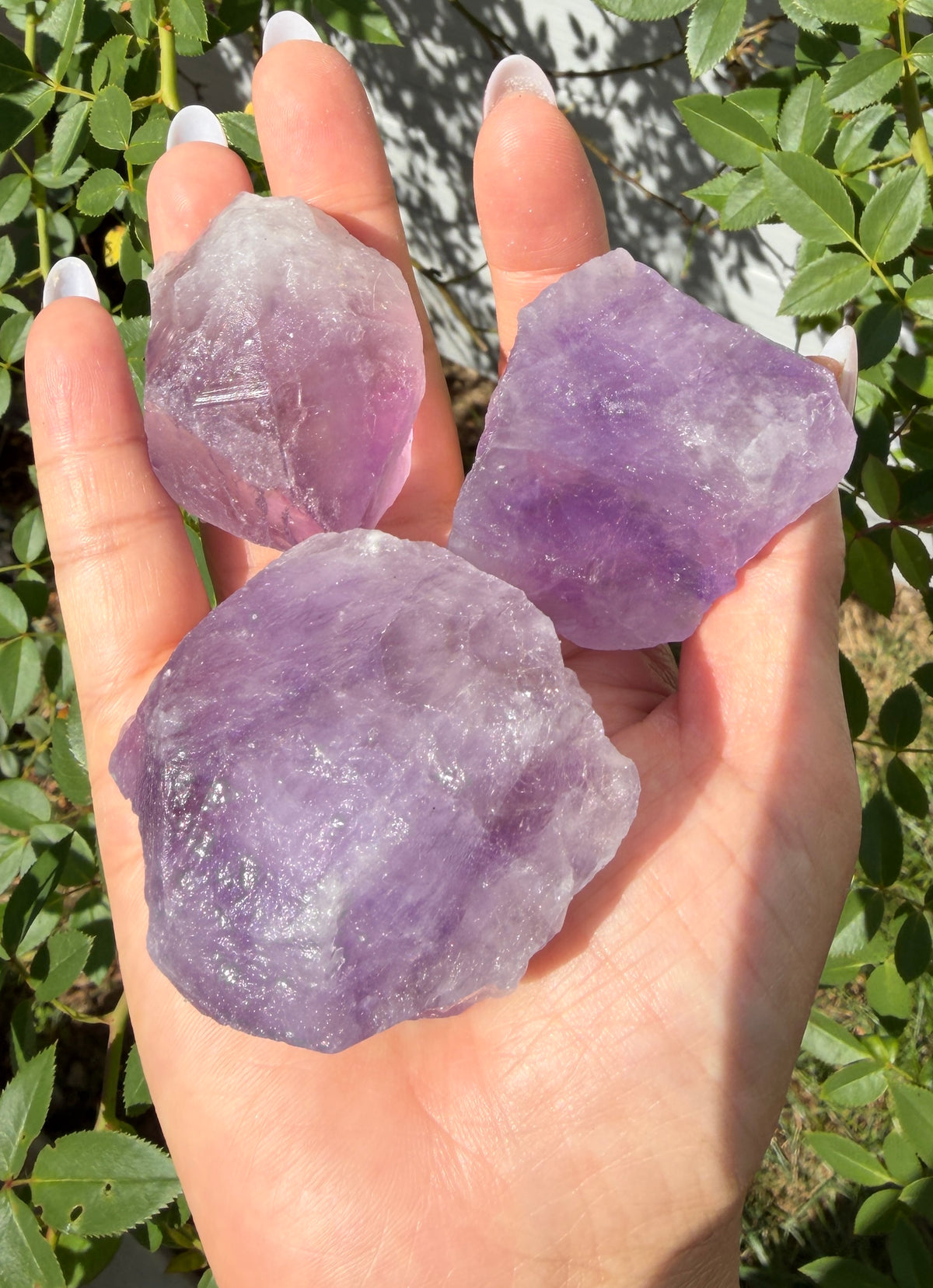 Wholesale Lot 2 Lbs Natural Lavender Amethyst Rough Crystal