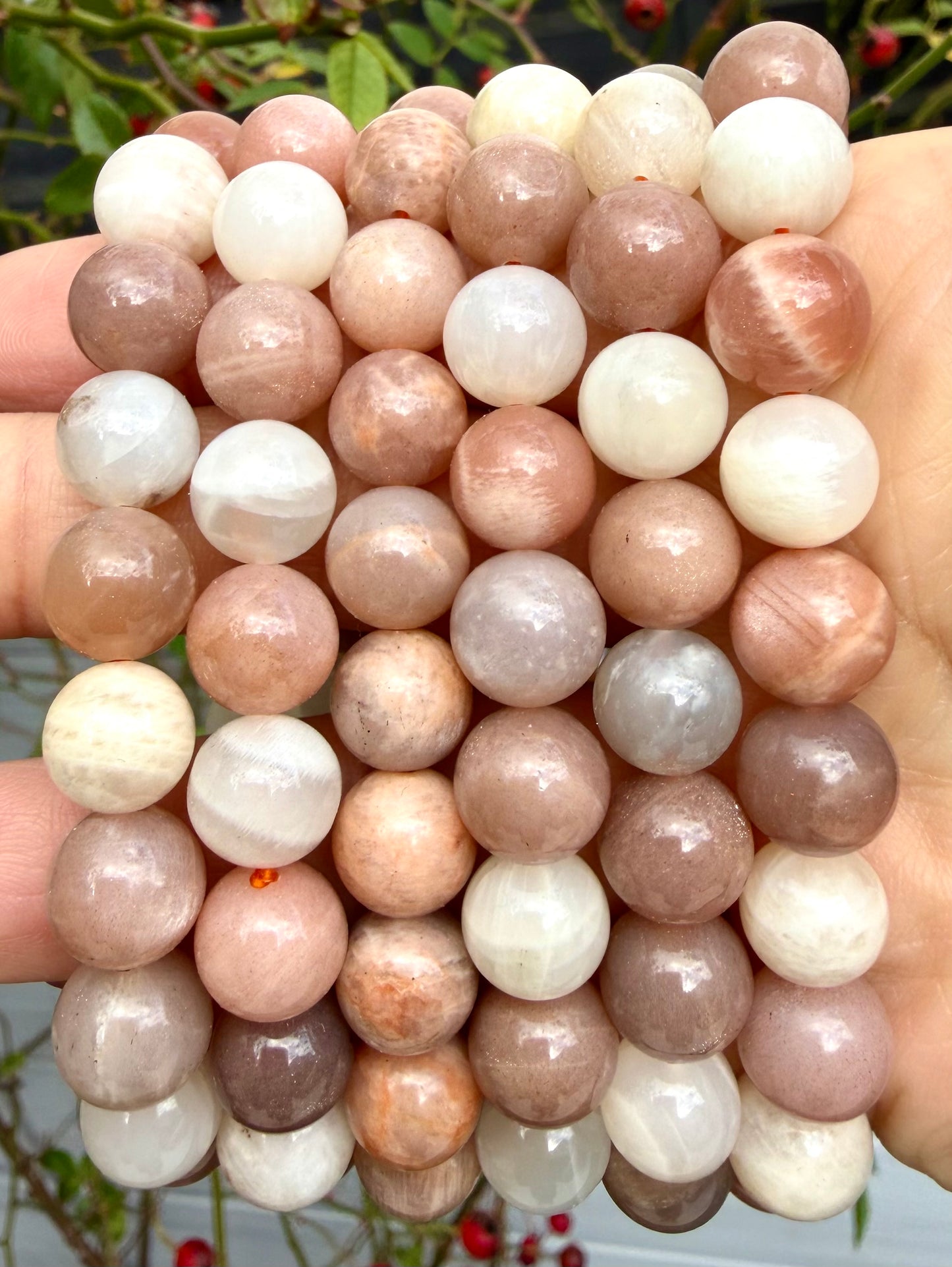 Wholesale Lot 6 Pcs Natural Mix Moonstone 10mm 8” Stretch Bracelet