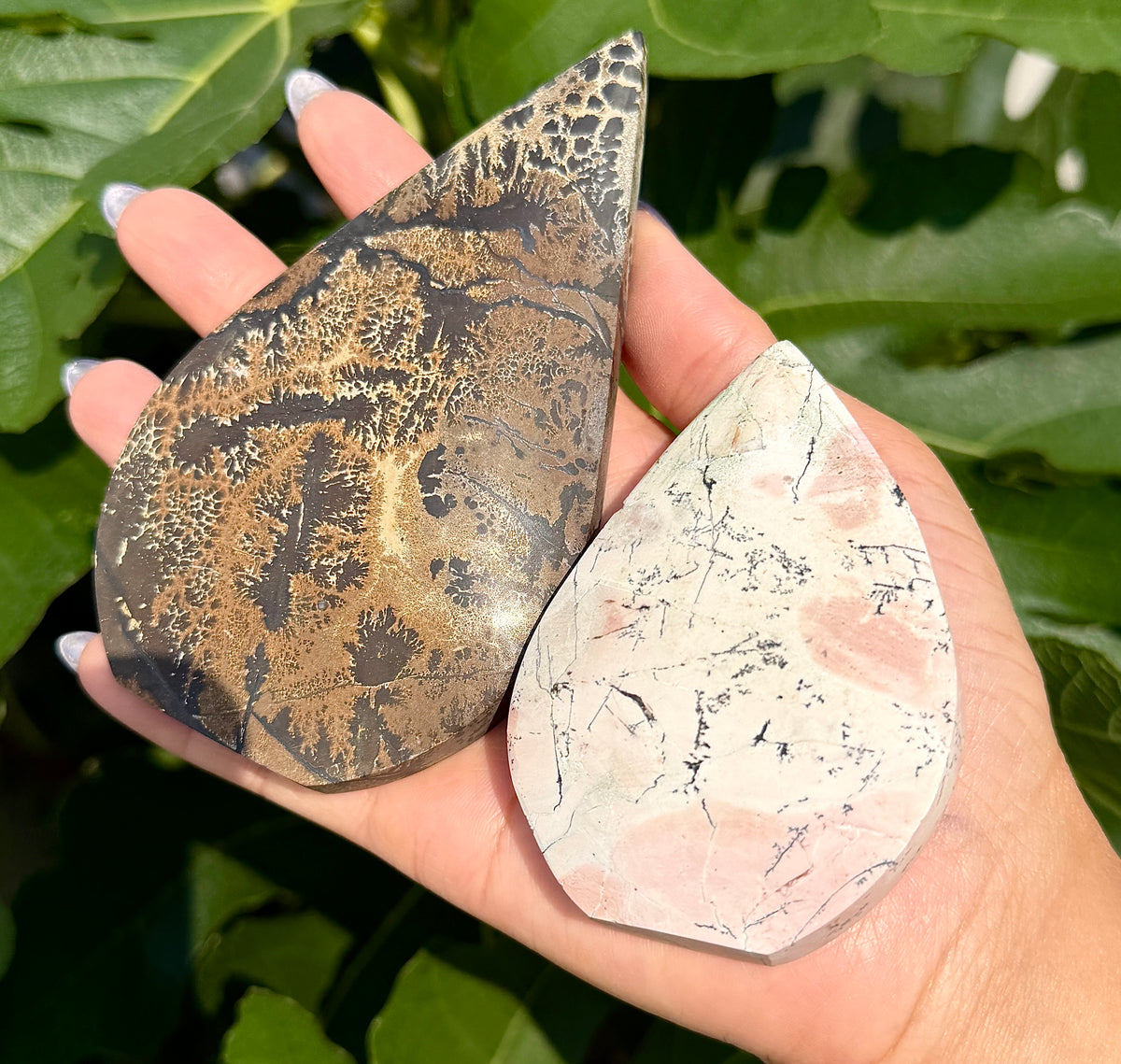 6PCs Natural Picture Jasper Freeform Crystal Healing