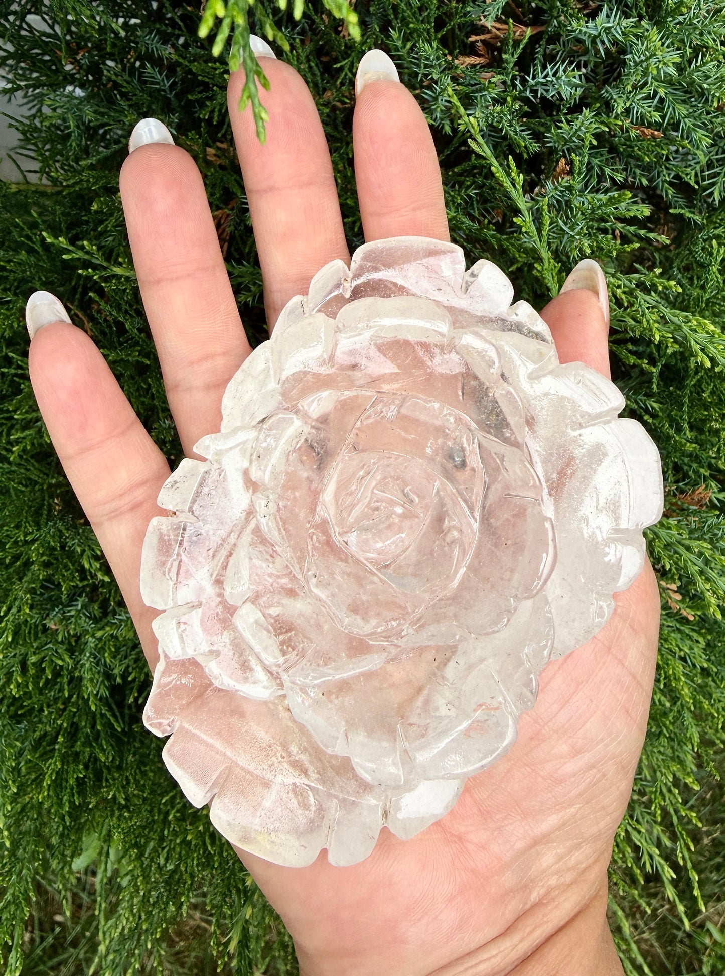 4-5 pcs Natural Clear Quartz Rose Carving Crystals Healing Energy