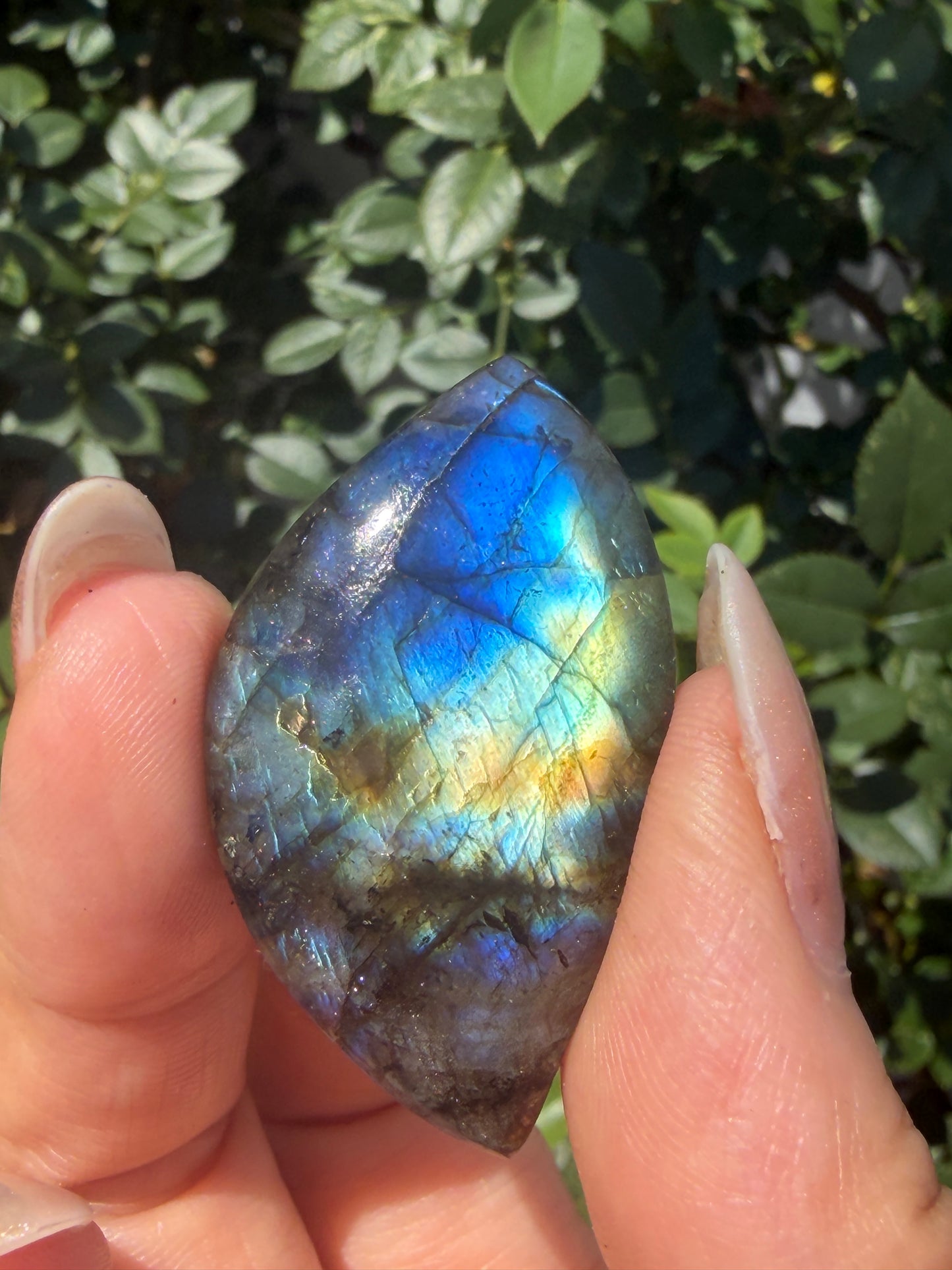 Wholesale Lot 12 pcs Natural Labradorite Cabochon Crystal Healing Energy
