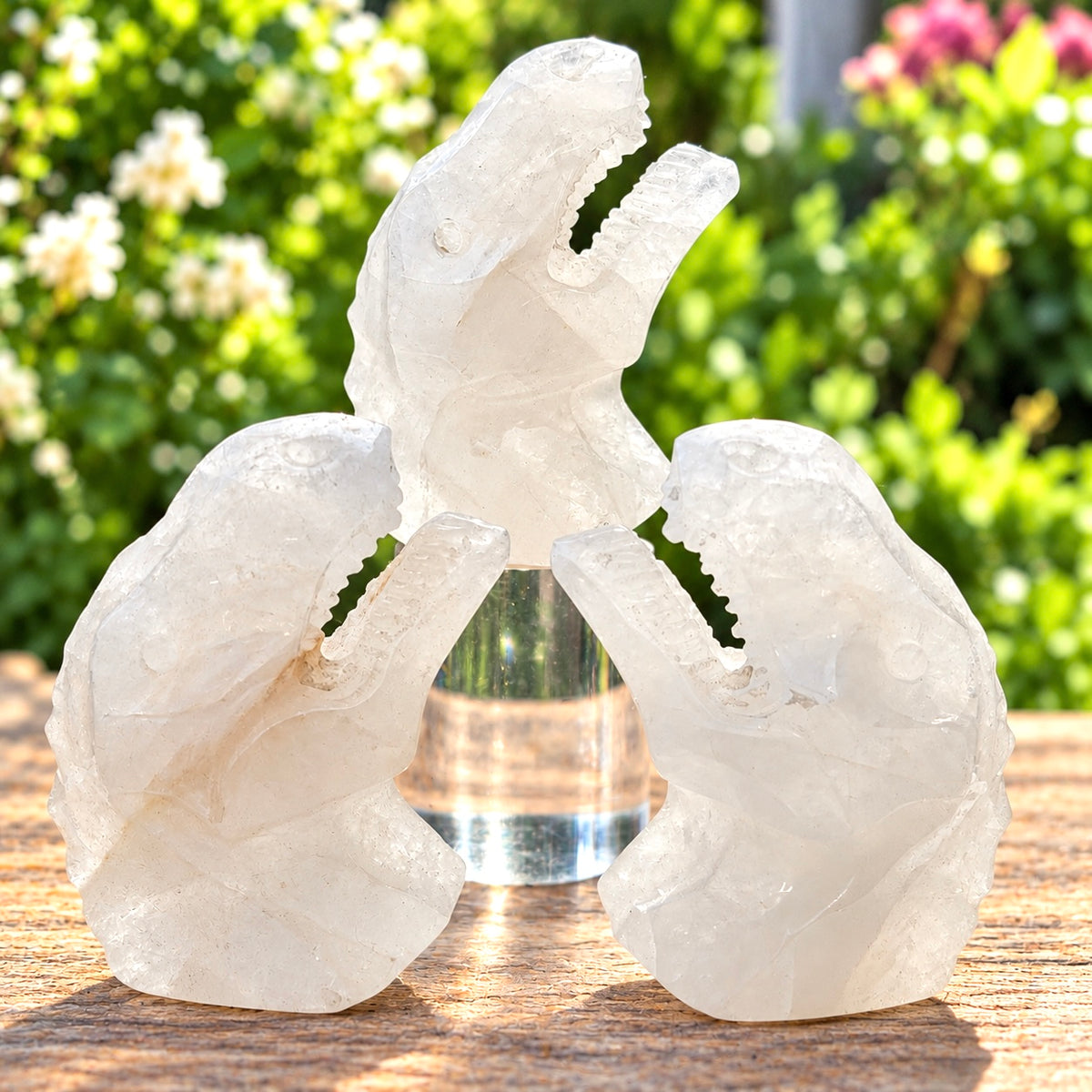 3 PCs Natural Clear Quartz Dinosaur Crystal Healing Energy