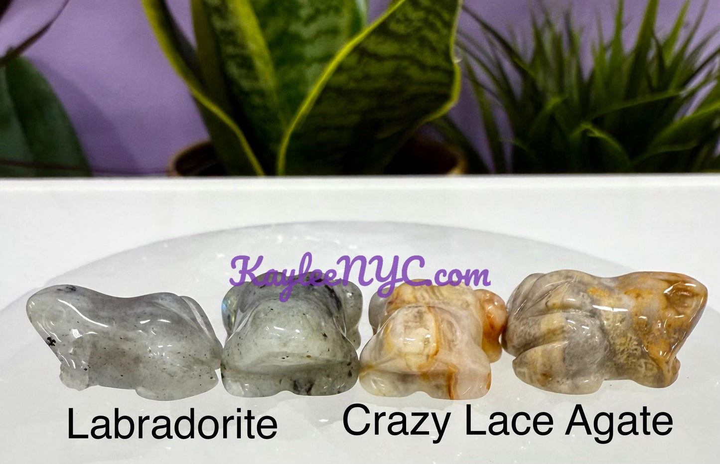 18 PCs 1” Mix Crystal Frogs