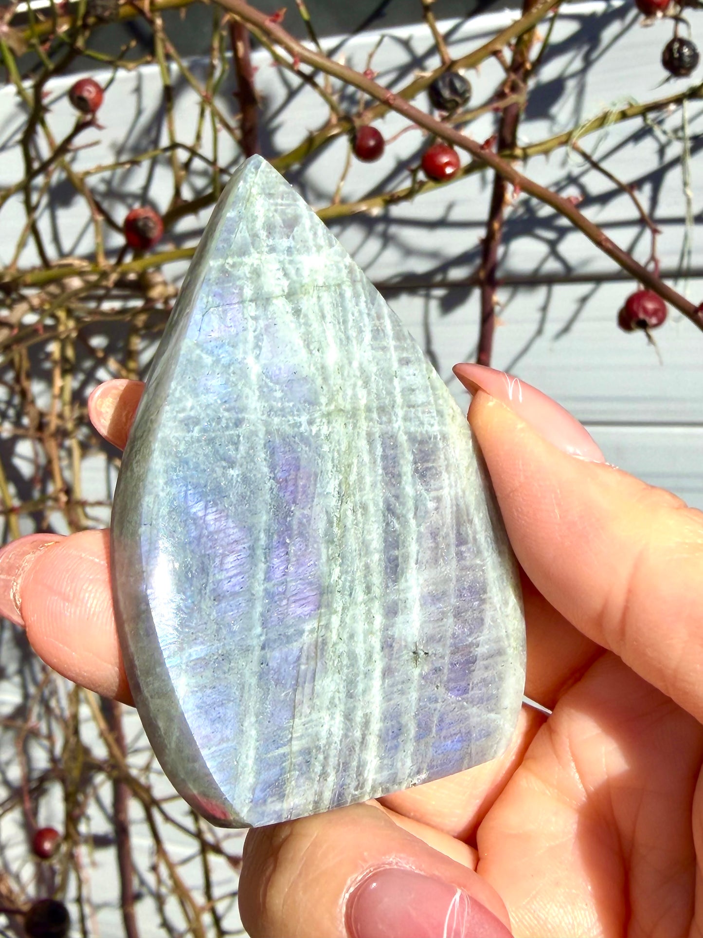 2 lbs Natural Sunset Labradorite Freeform Crystal Wholesale