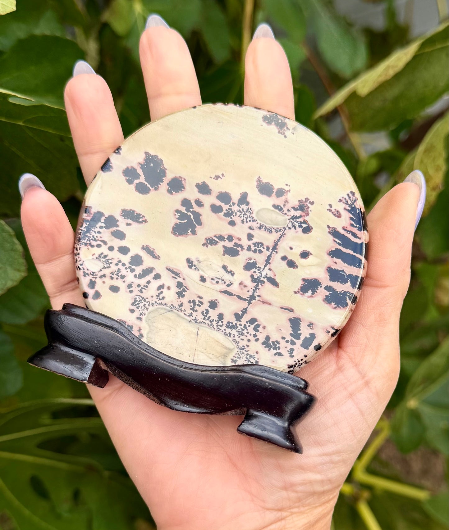 4PCs Natural Picture Jasper  polished Slabs with stand