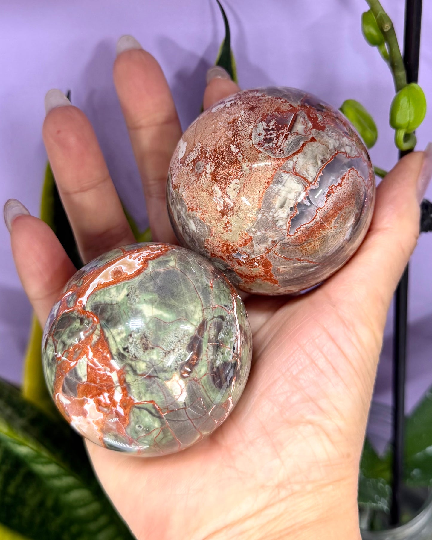 Wholesale Lot 3-4 Pcs Natural Money Agate Sphere Crystal Ball 2.8-3lbs Healing Energy