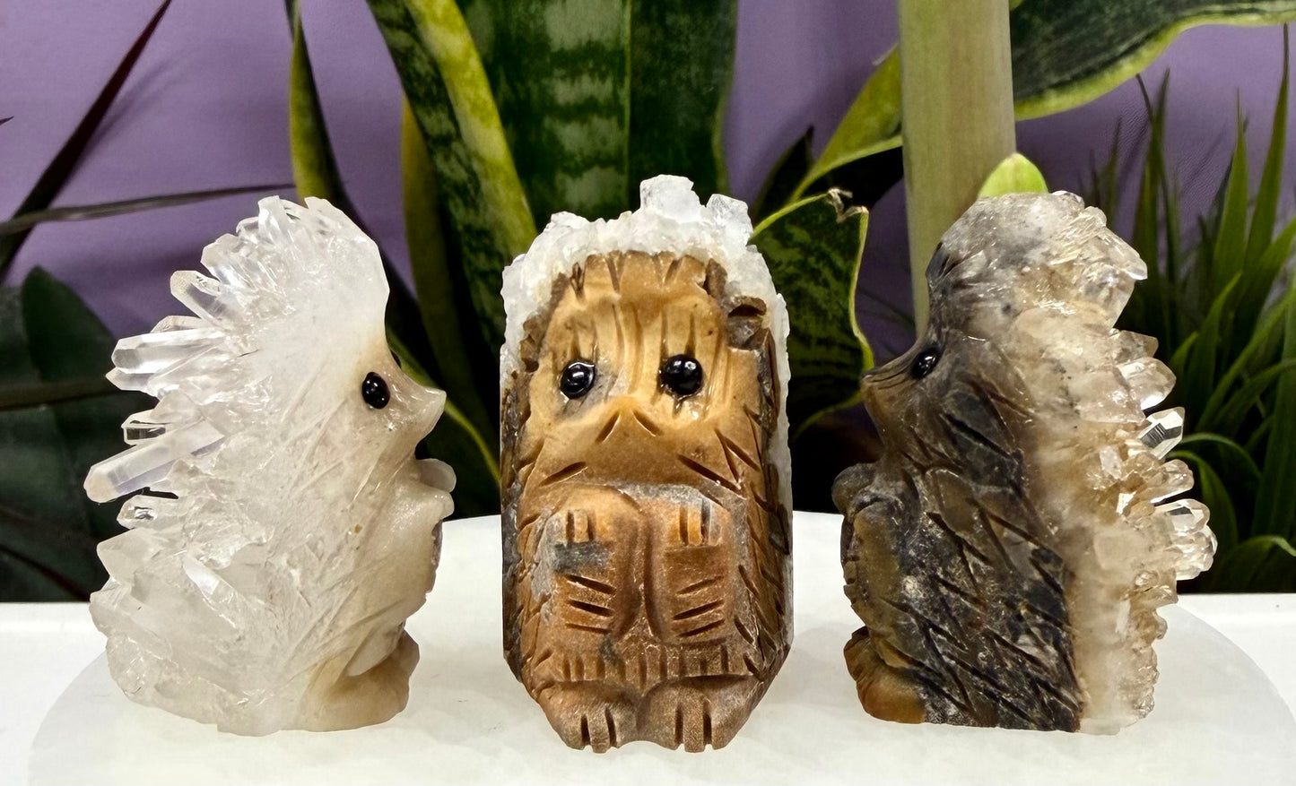 6 pcs Natural Quartz Hedgehog and Fairy Crystals Healing Energy