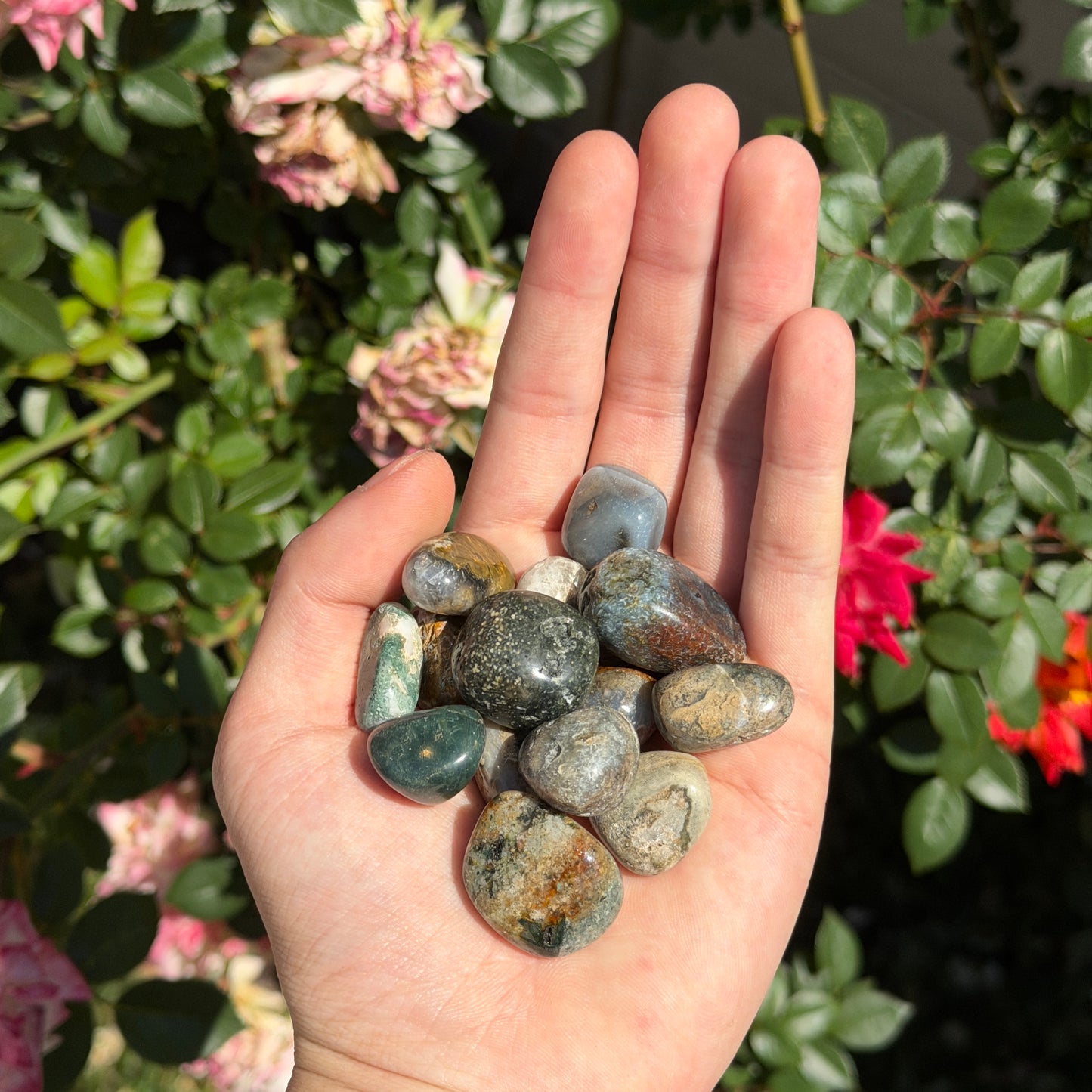 Wholesale Lot – 2 lbs Natural Ocean Jasper Tumbled Crystals – Nice Quality