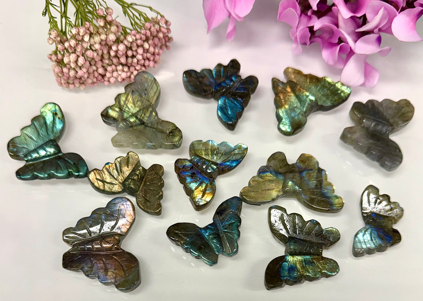 12 PCs Labradorite Butterfly Carving Natural Crystal Healing Energy