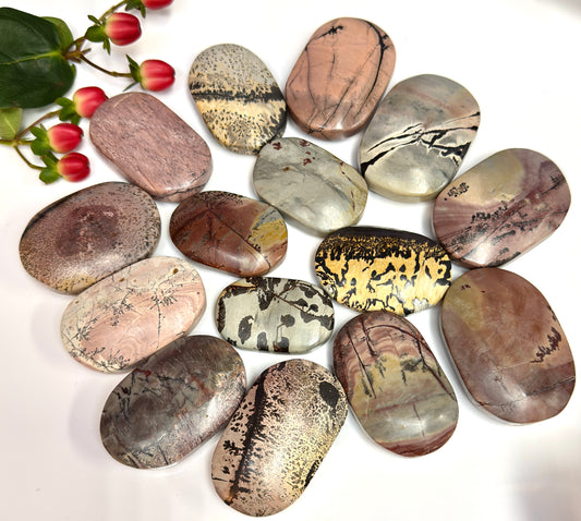Wholesale 2 Lb Lot Natural Picture Jasper Palm Stones Crystal Natural Energy