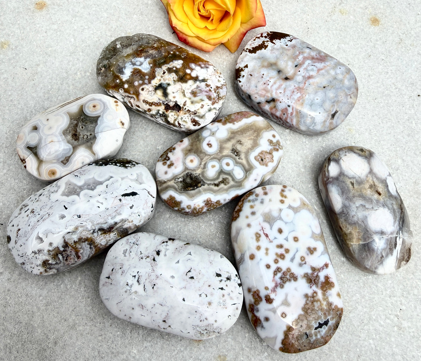 Wholesale 1 lb Lot Natural Ocean Jasper Palm Stone Crystal Energy